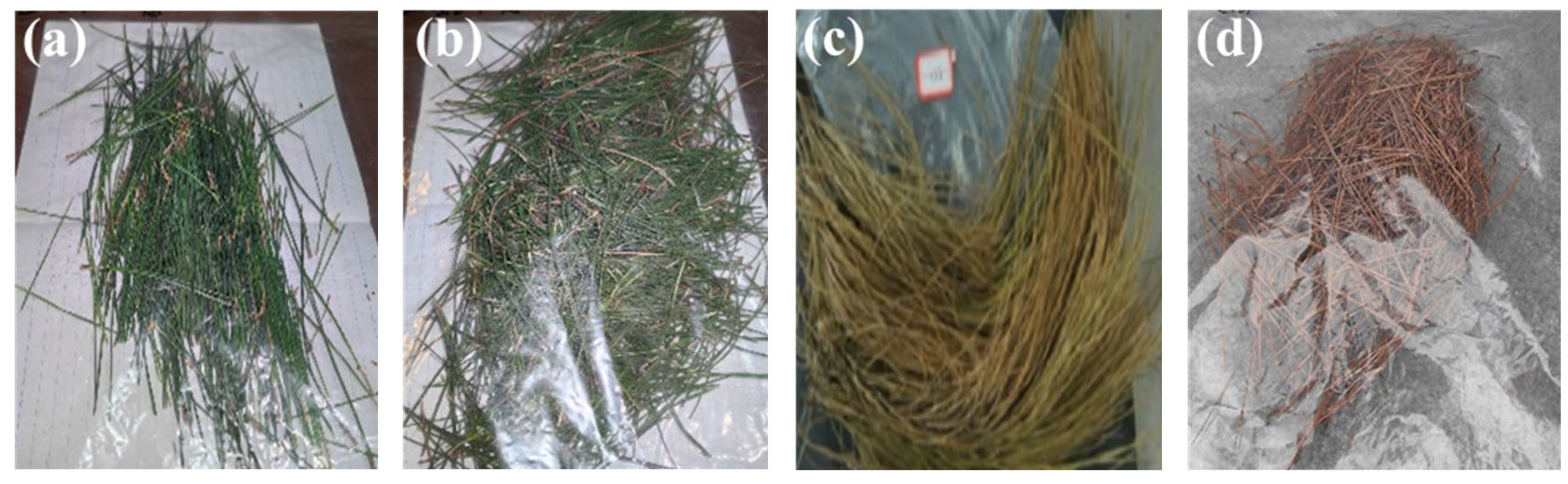 Remotesensing 17 01833 g002