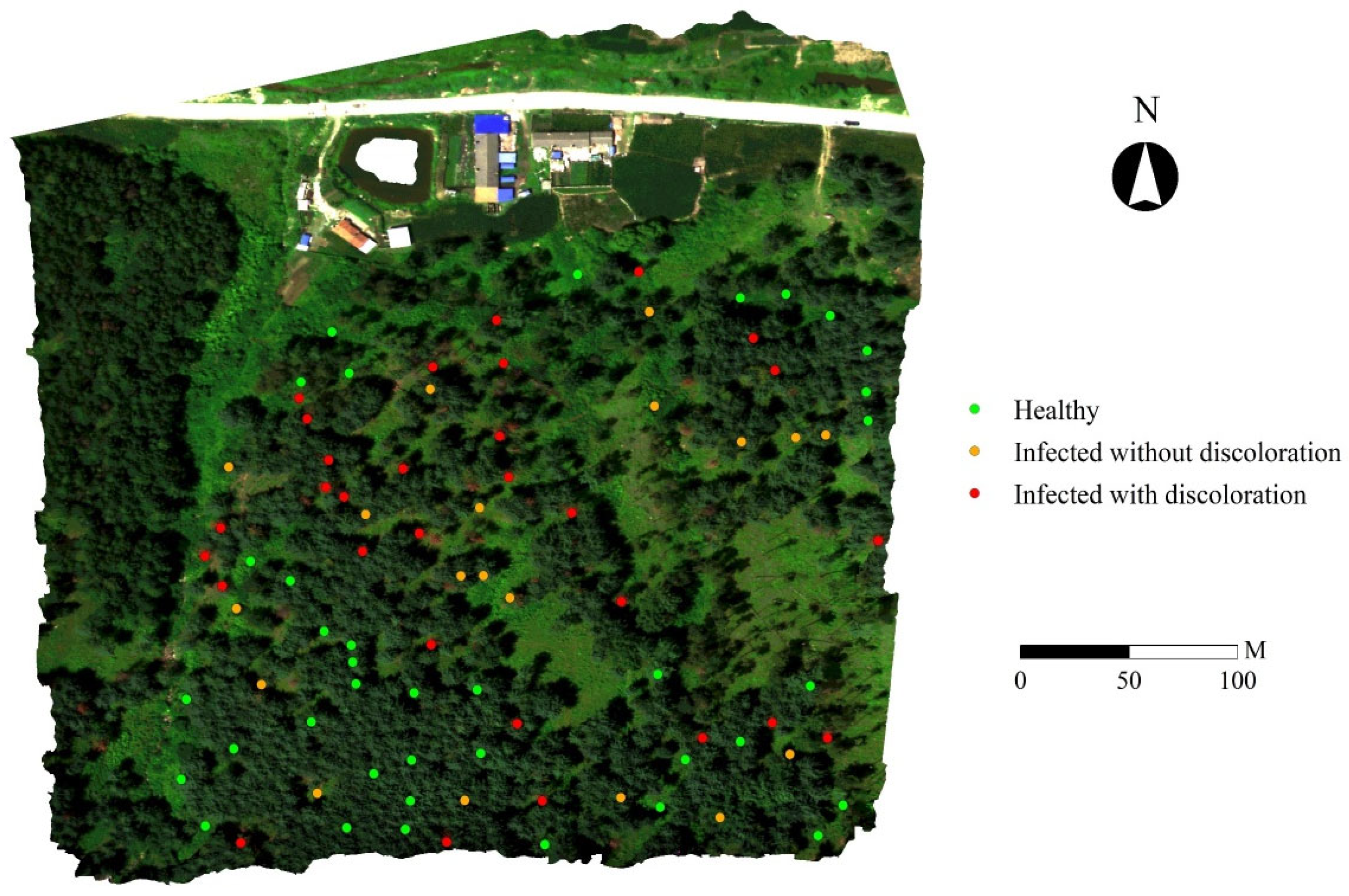 Remotesensing 17 01833 g005