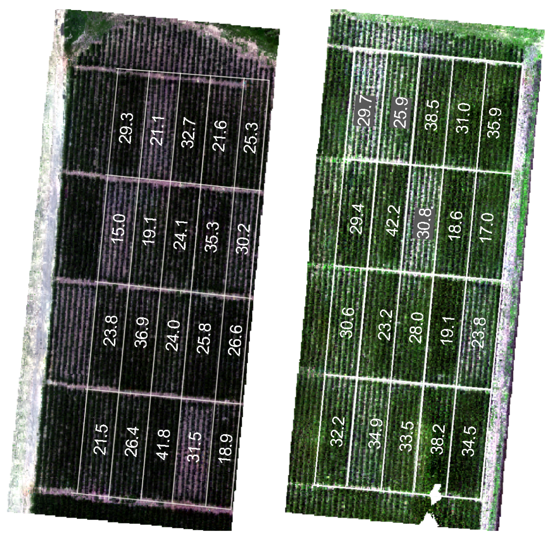 Remotesensing 17 01846 g009