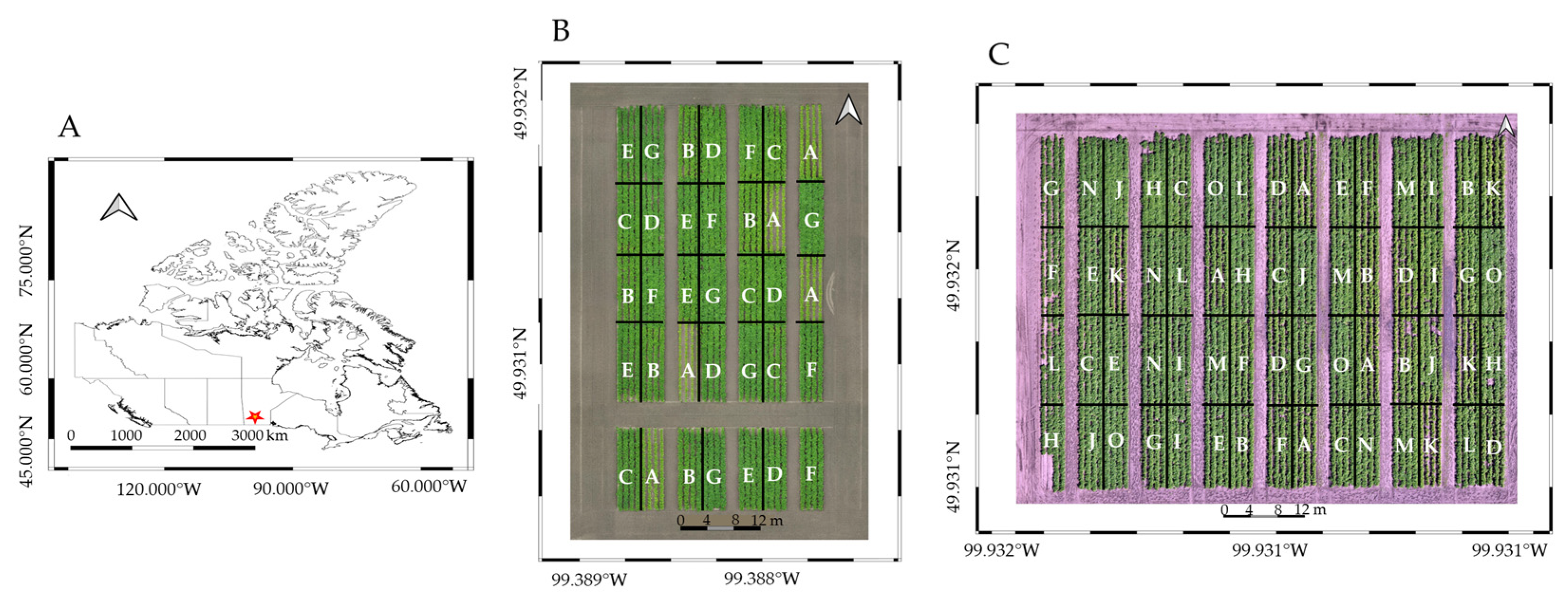 Remotesensing 17 01860 g002