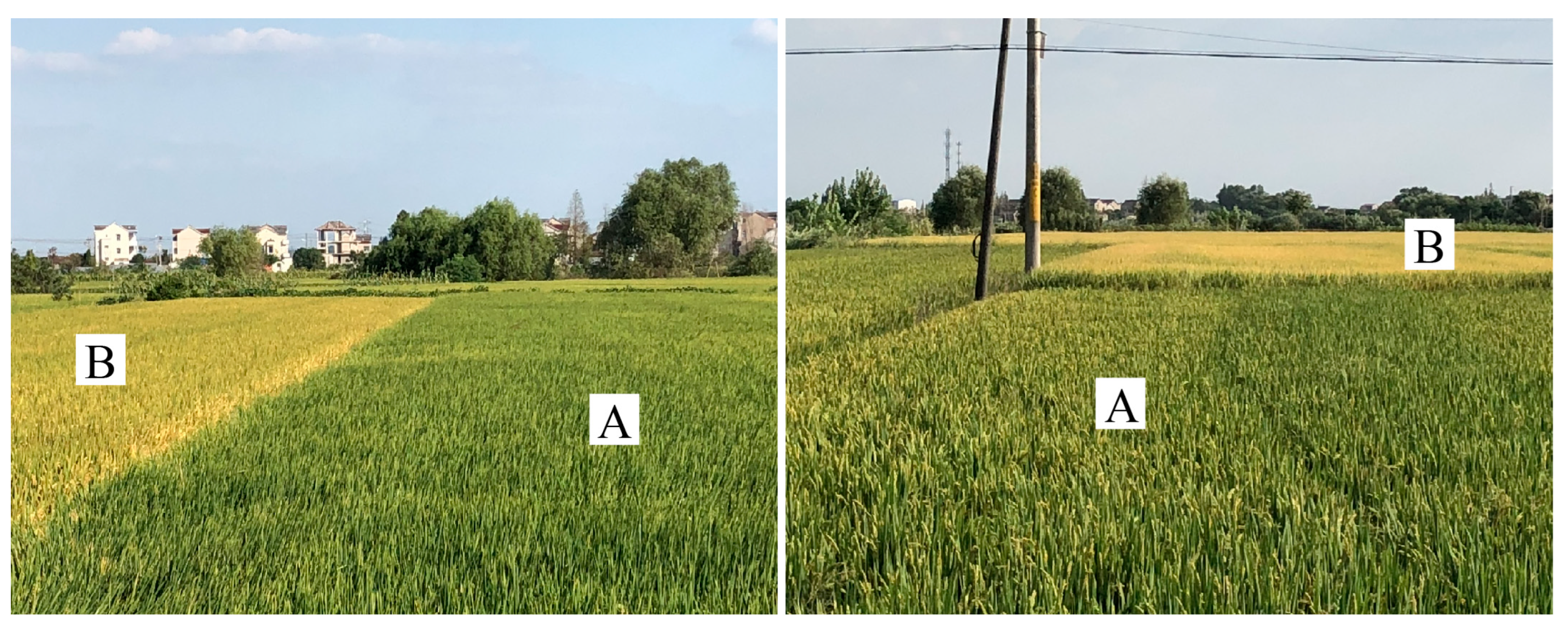 Remotesensing 17 01865 g003