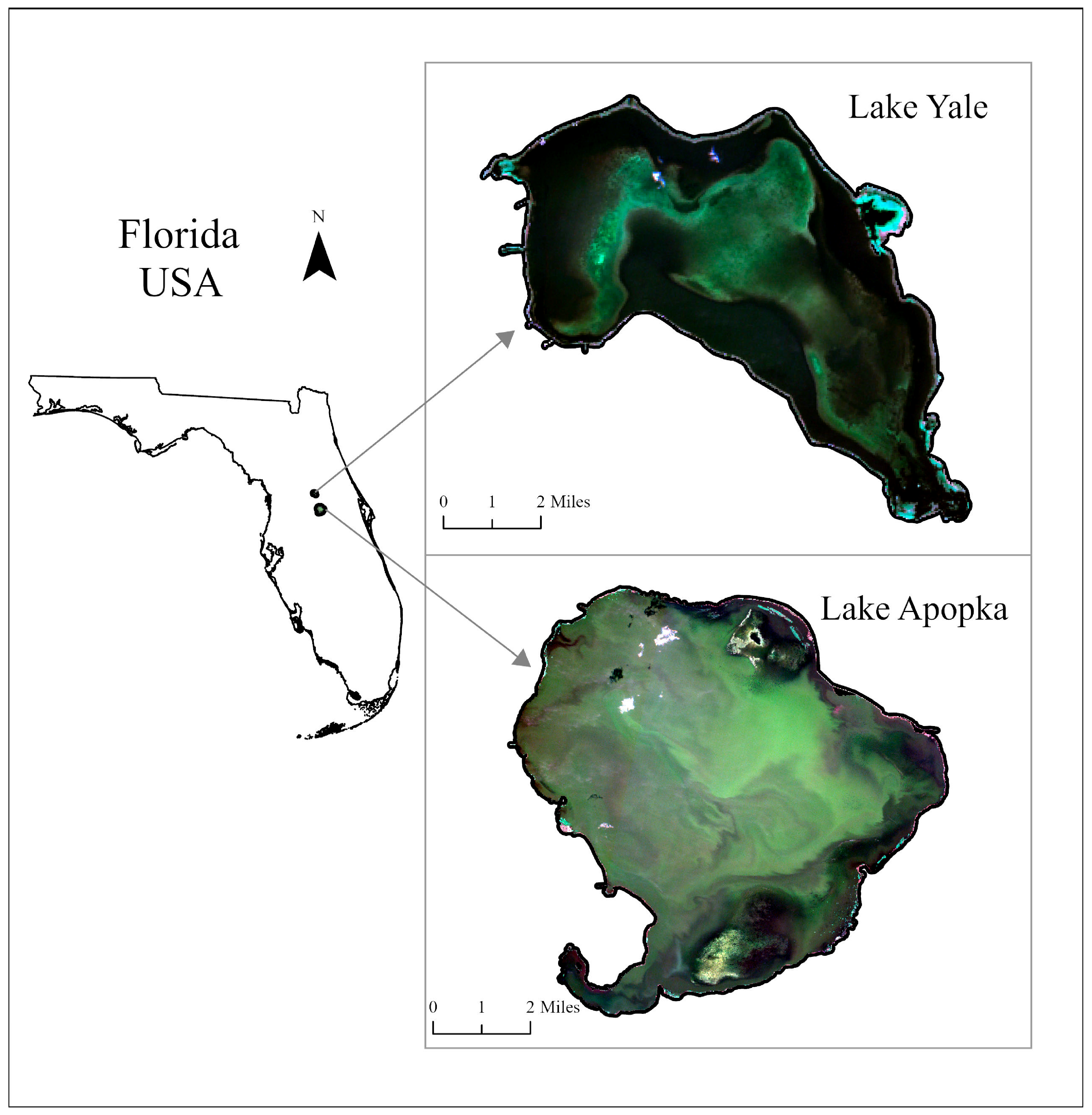 Remotesensing 17 01894 g001