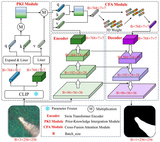 DS Net: A Dual-Coded Segmentation Network Leveraging Large