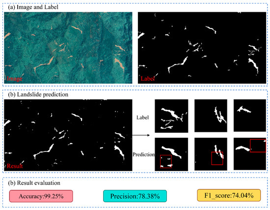 MSA DS Net: A Dual-Coded Segmentation Network Leveraging Large