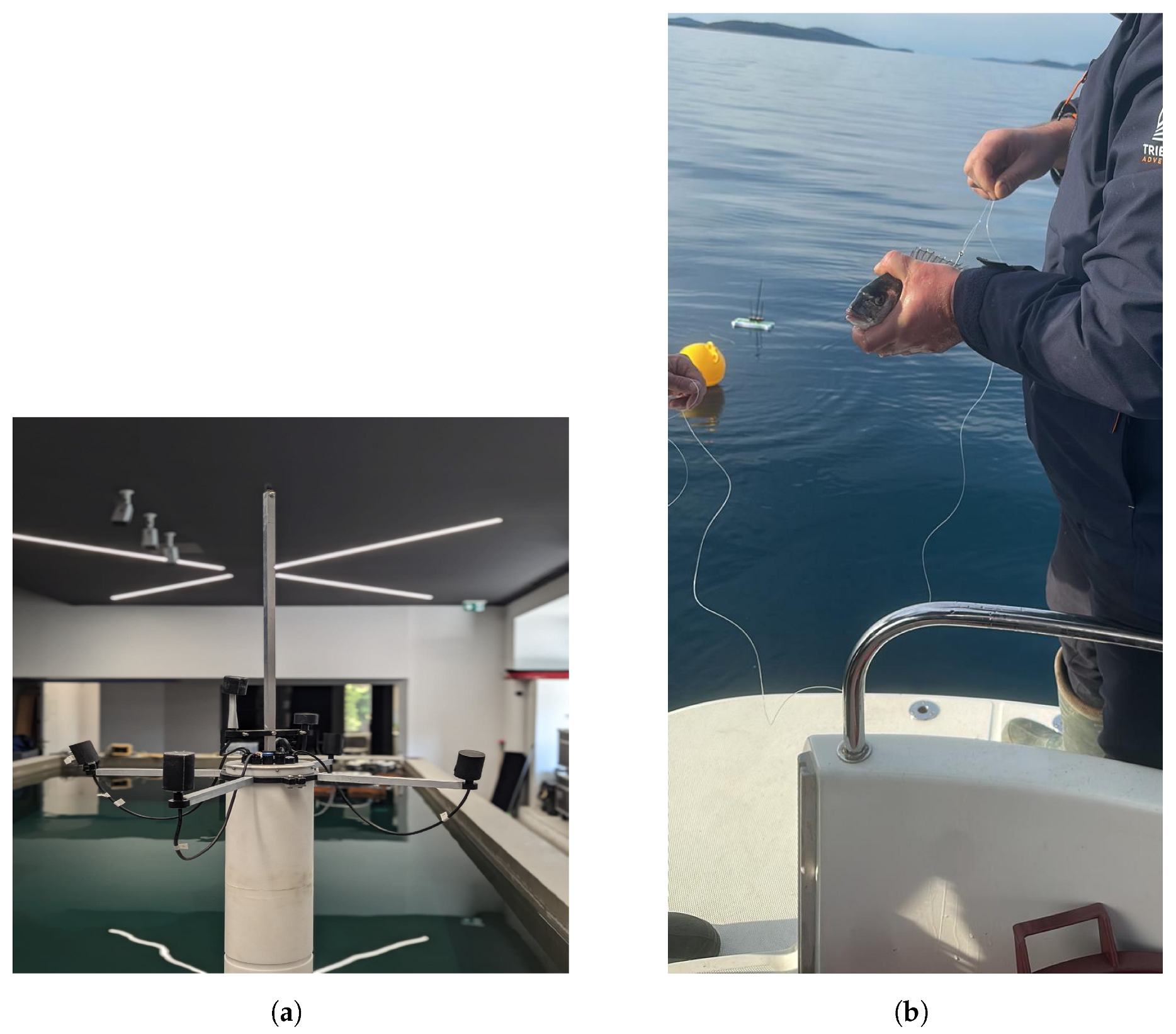 Remotesensing 17 01925 g007