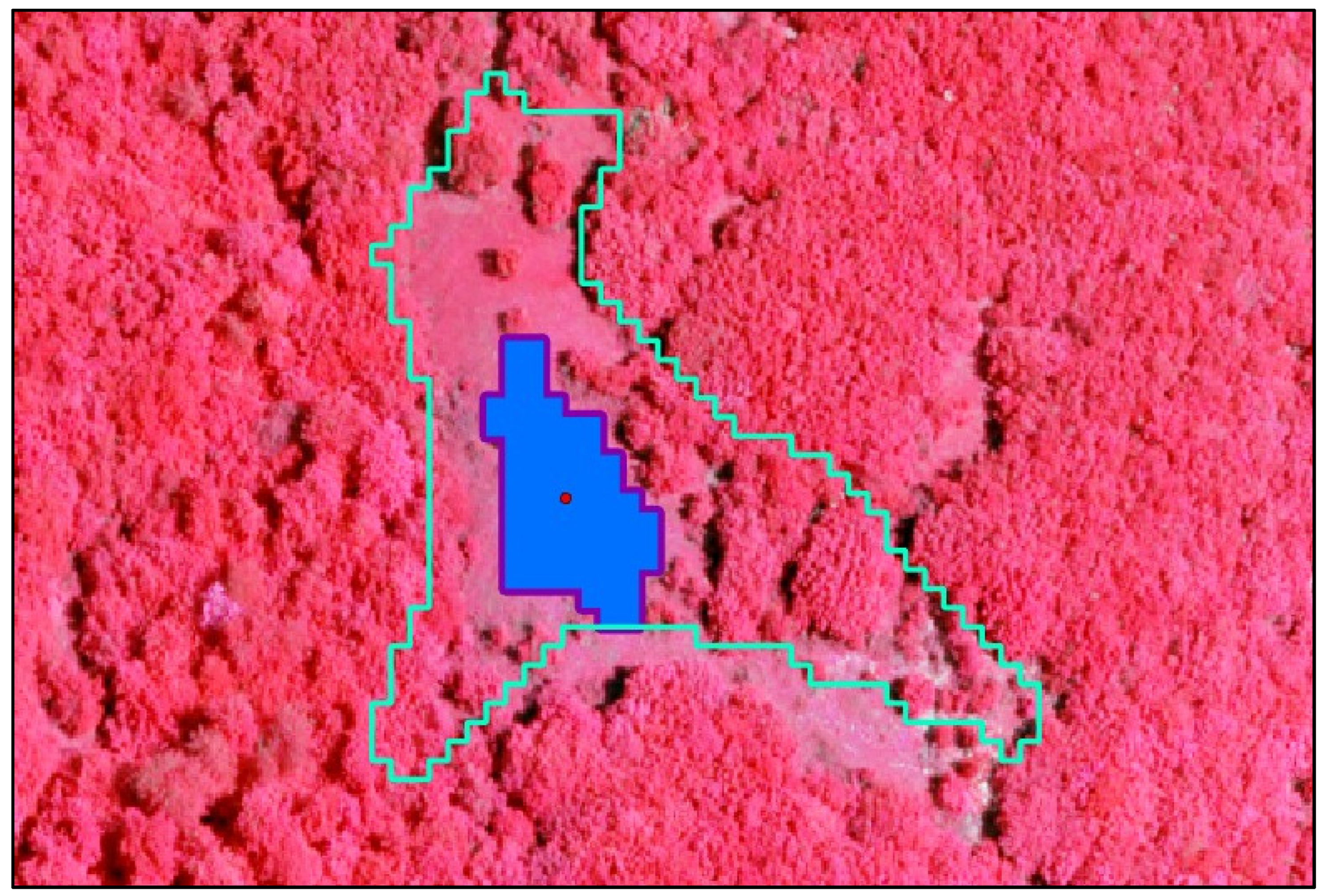 Remotesensing 17 01962 g013