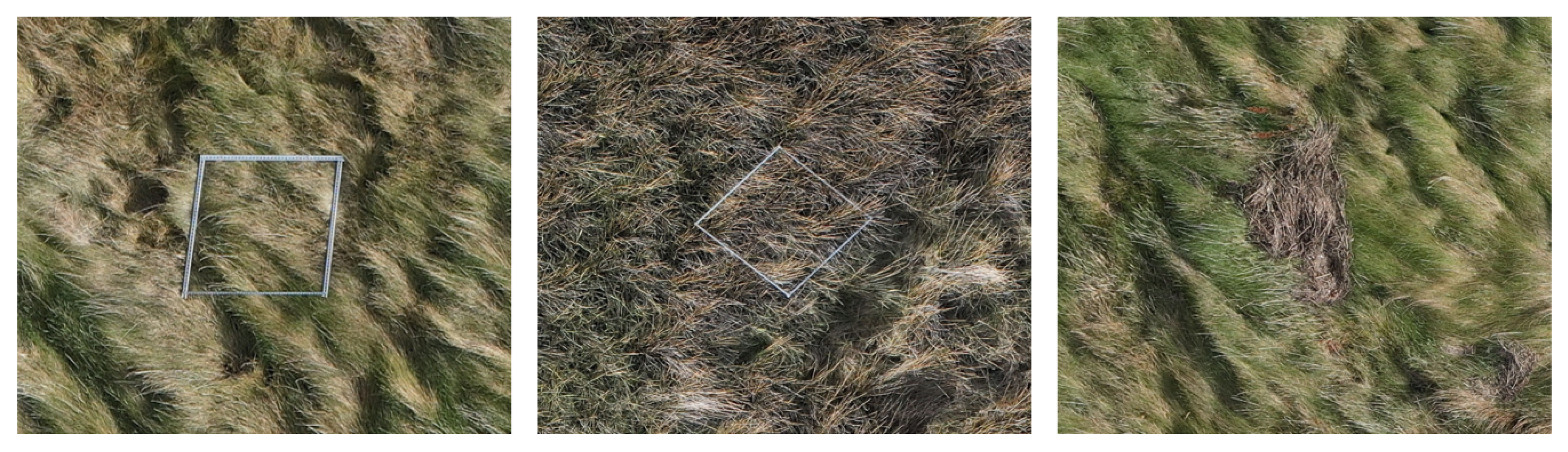 Remotesensing 17 01964 g004