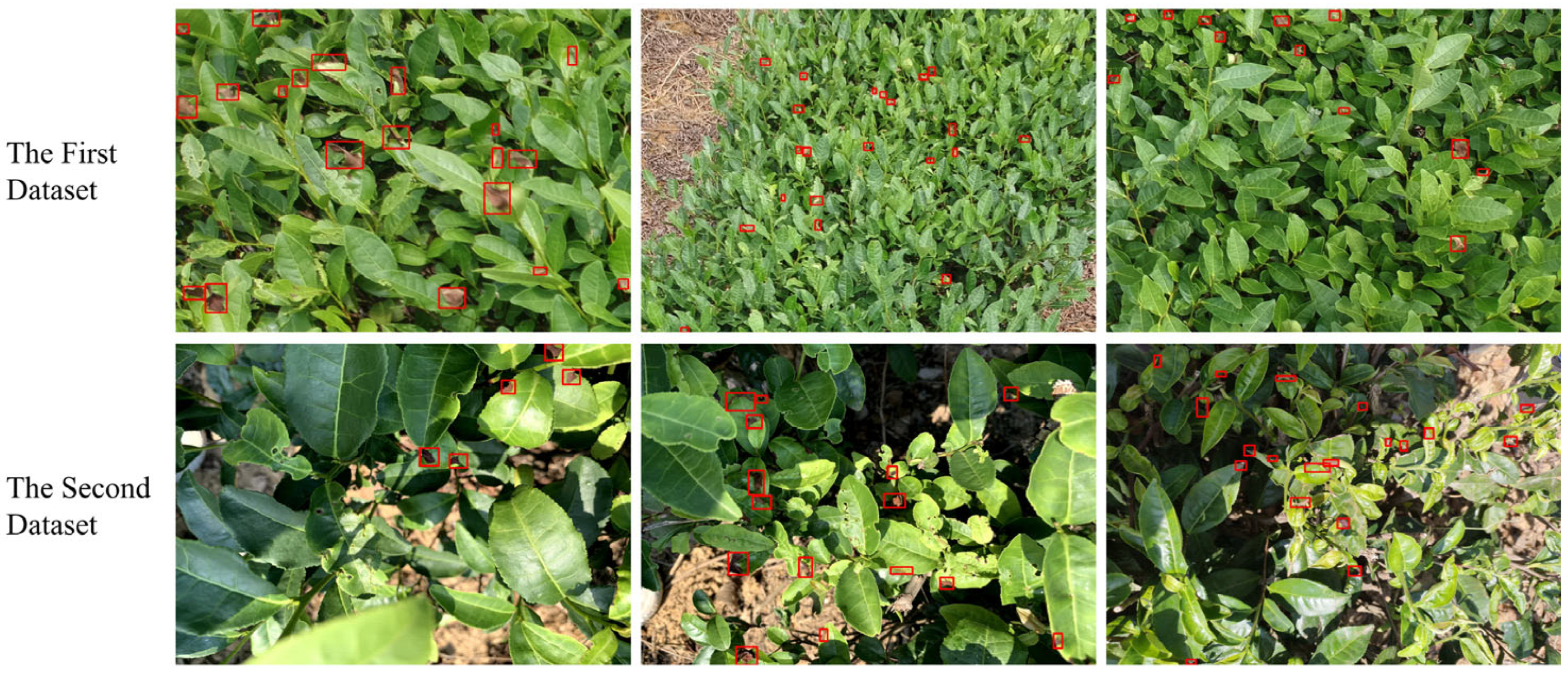 Remotesensing 17 01967 g001