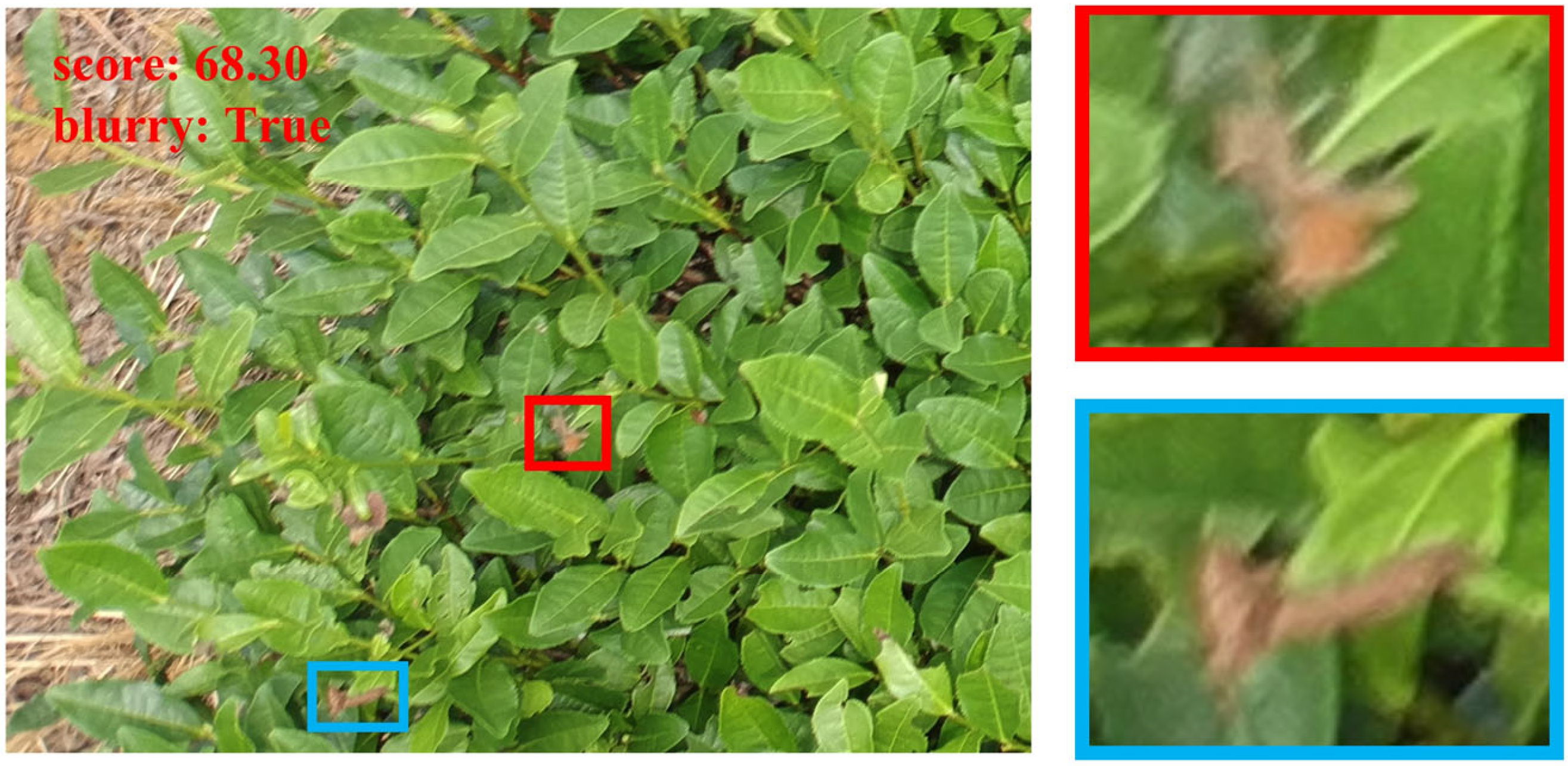 Remotesensing 17 01967 g003