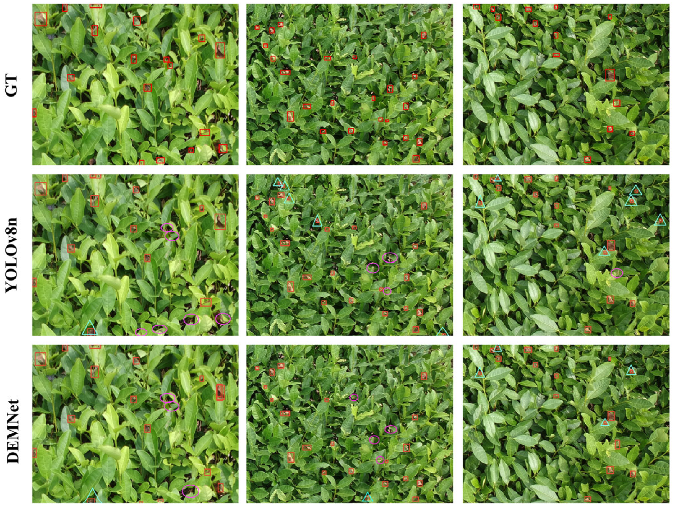 Remotesensing 17 01967 g019