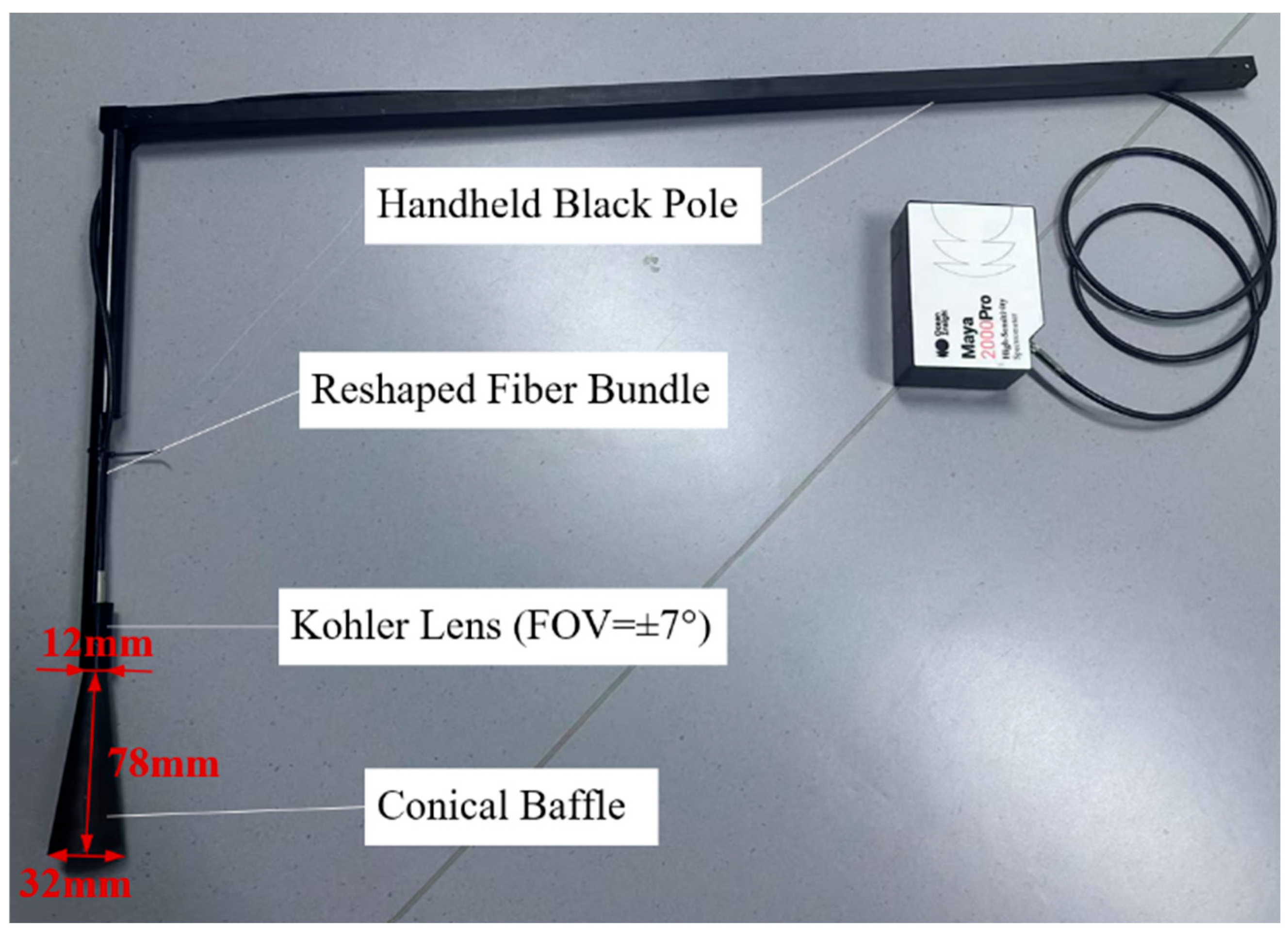 Remotesensing 17 01977 g008