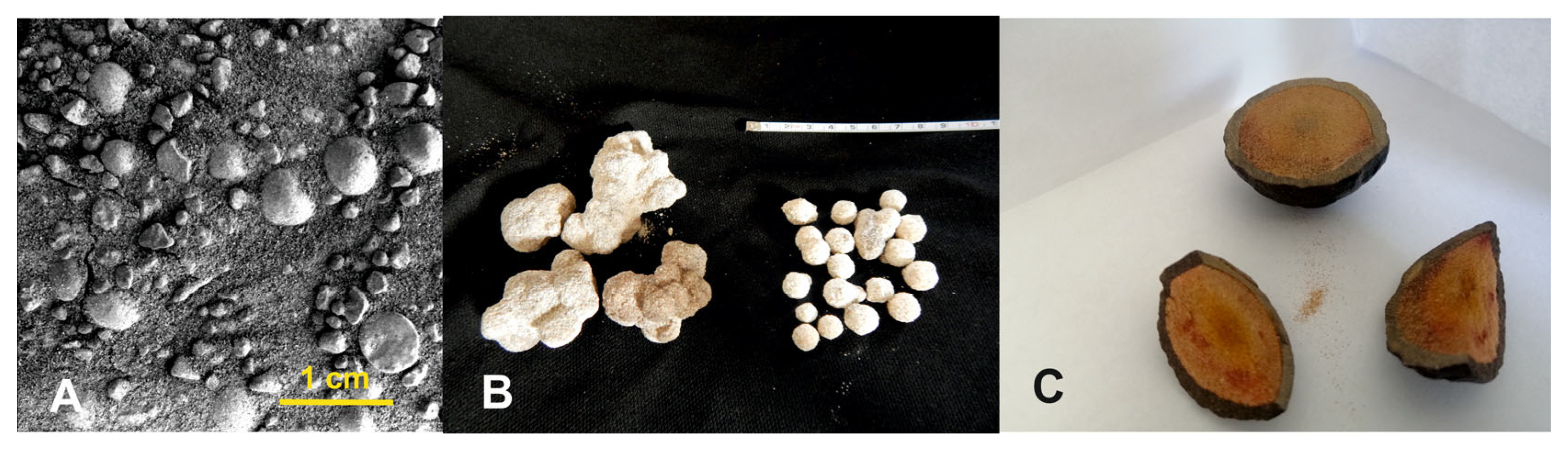 Remotesensing 17 01981 g002