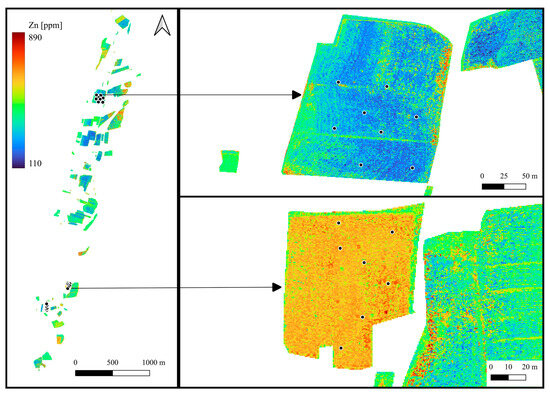 Hyperspectral Soil Heavy Metal Prediction via Privileged-Informed ...