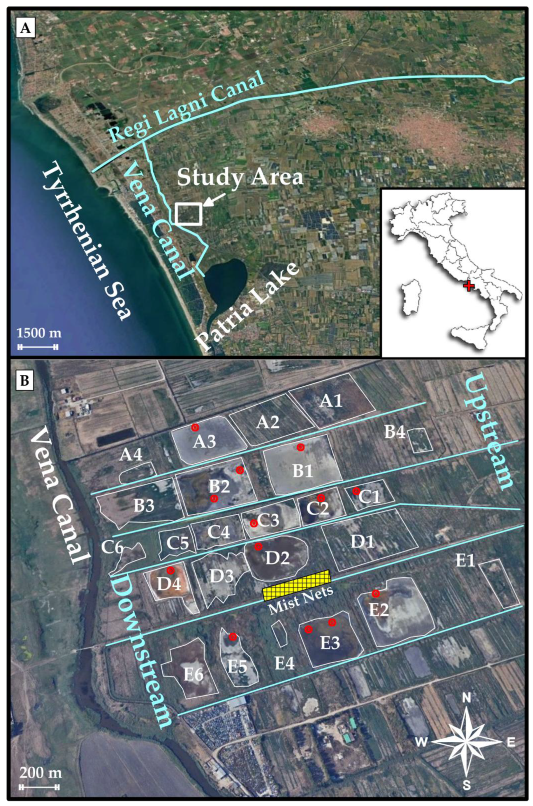 Remotesensing 17 02019 g001