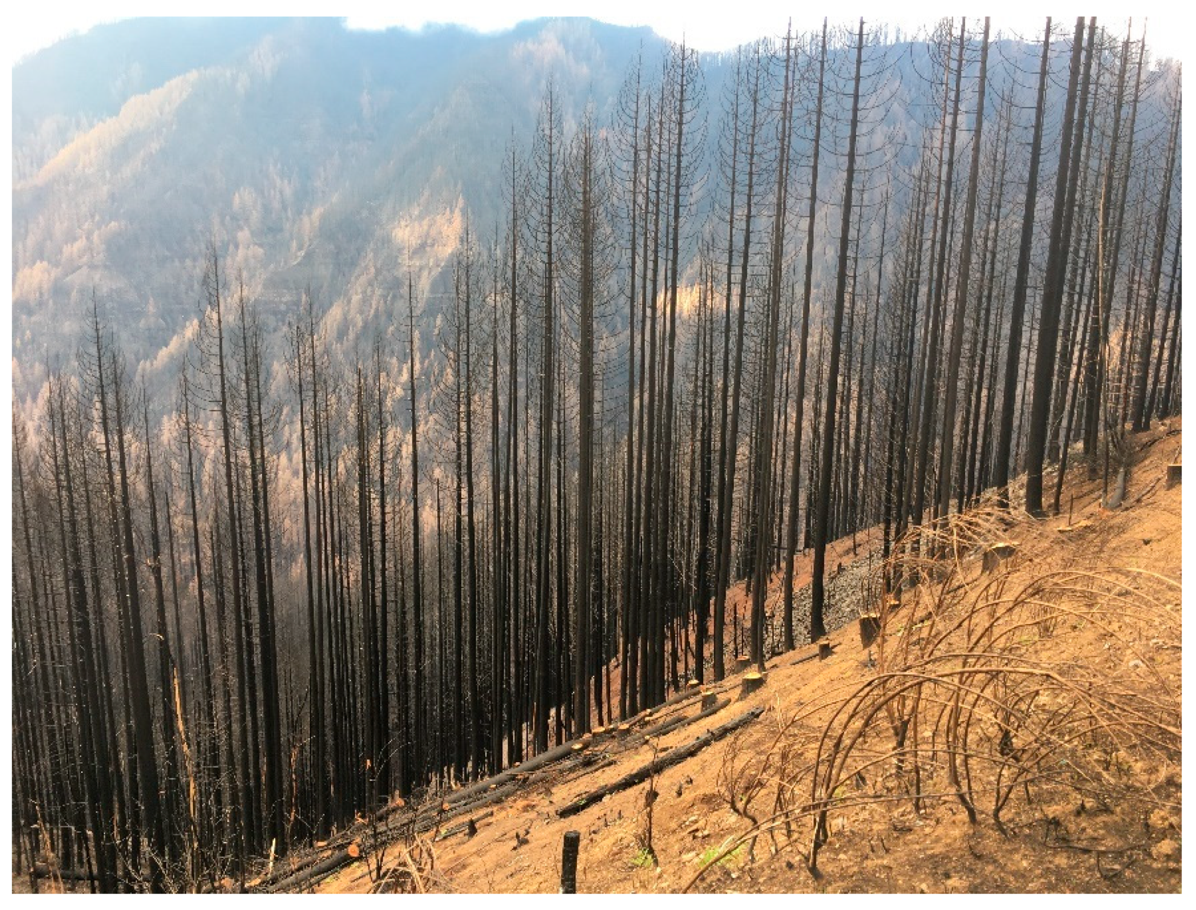 Remotesensing 17 02047 g003