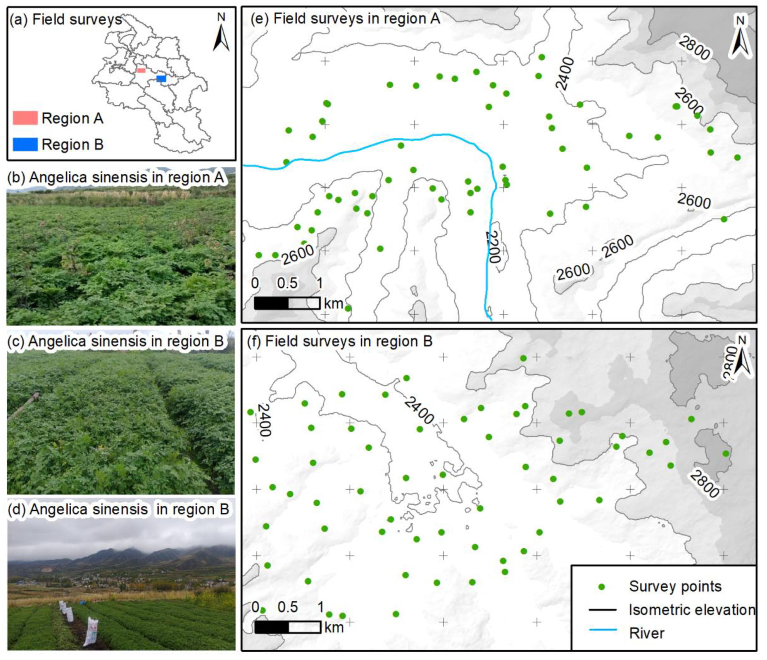 Remotesensing 17 02085 g002