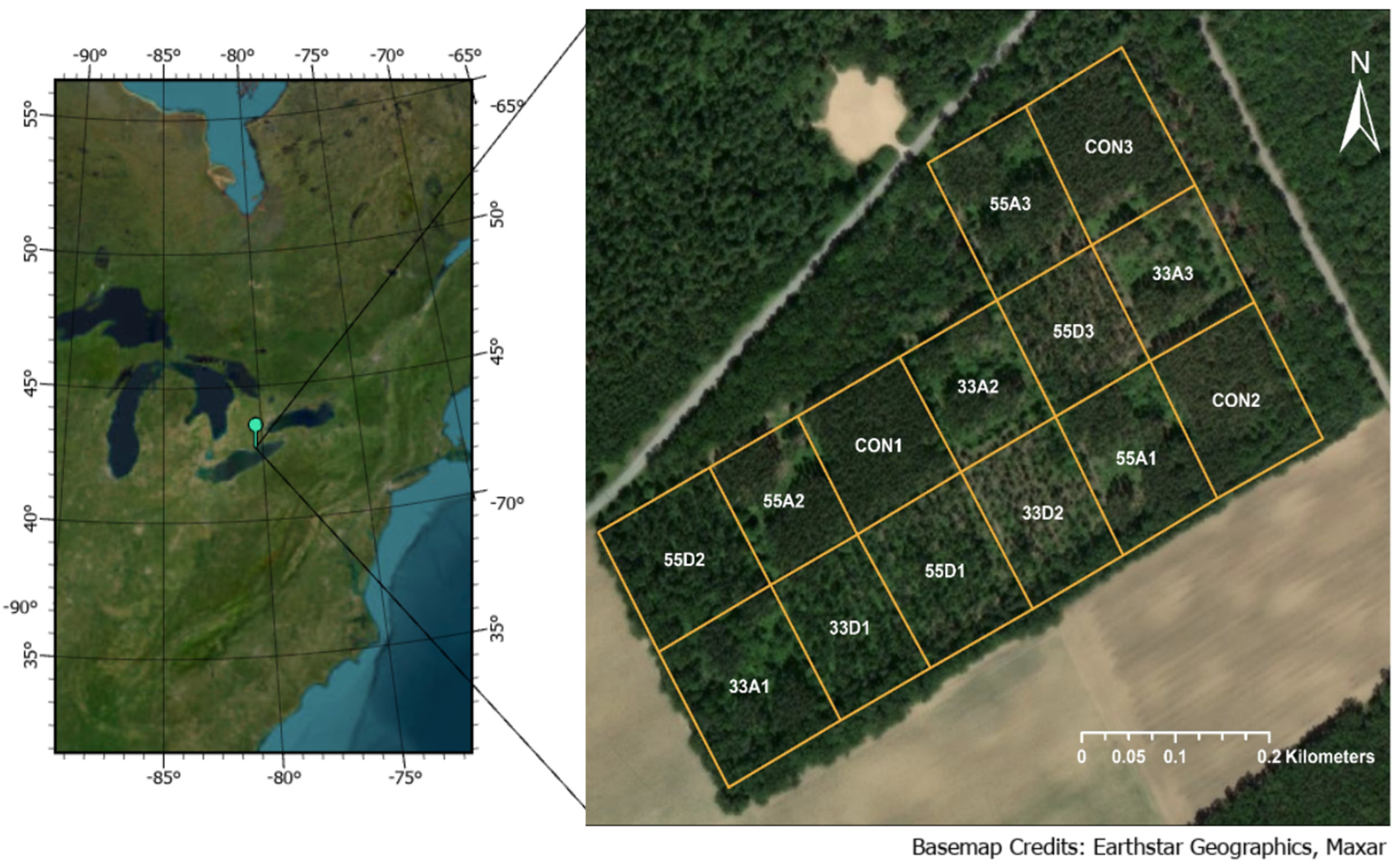 Remotesensing 17 02091 g001