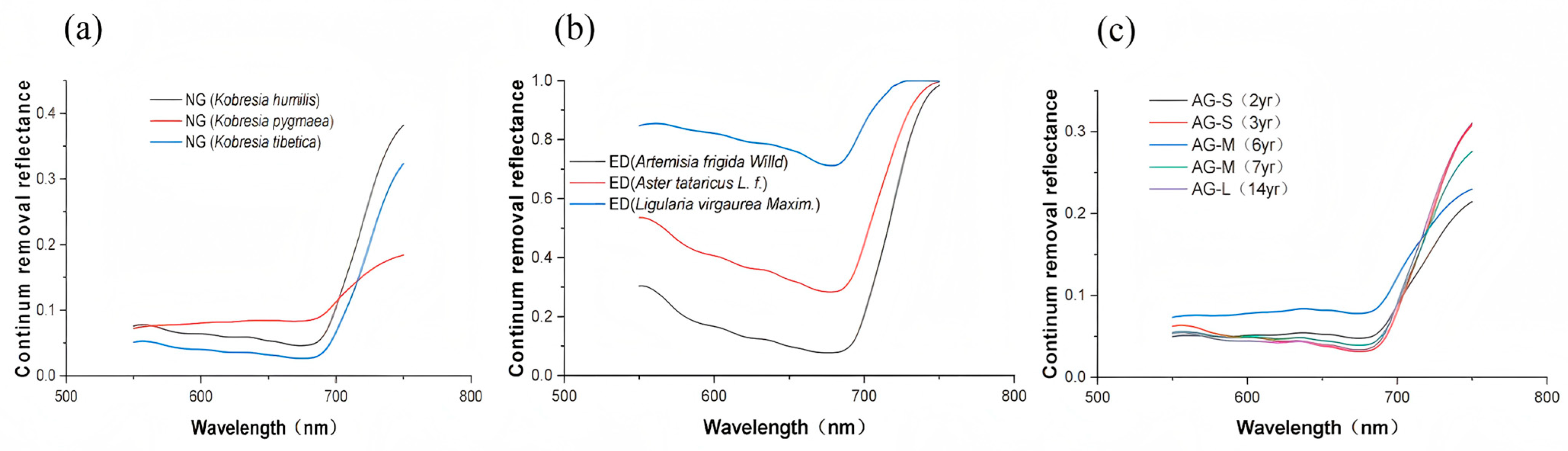 Remotesensing 17 02114 g005