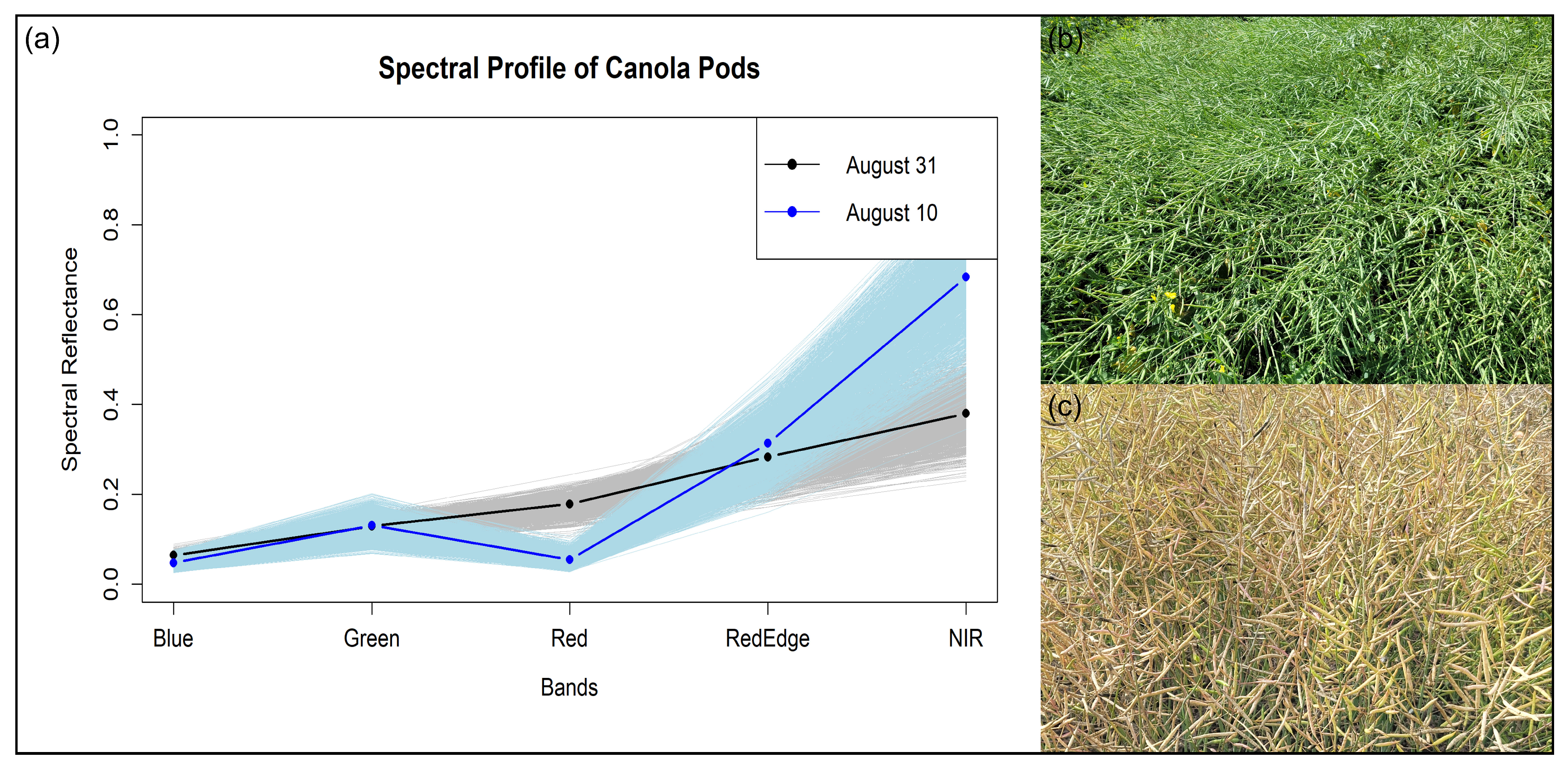 Remotesensing 17 02127 g005