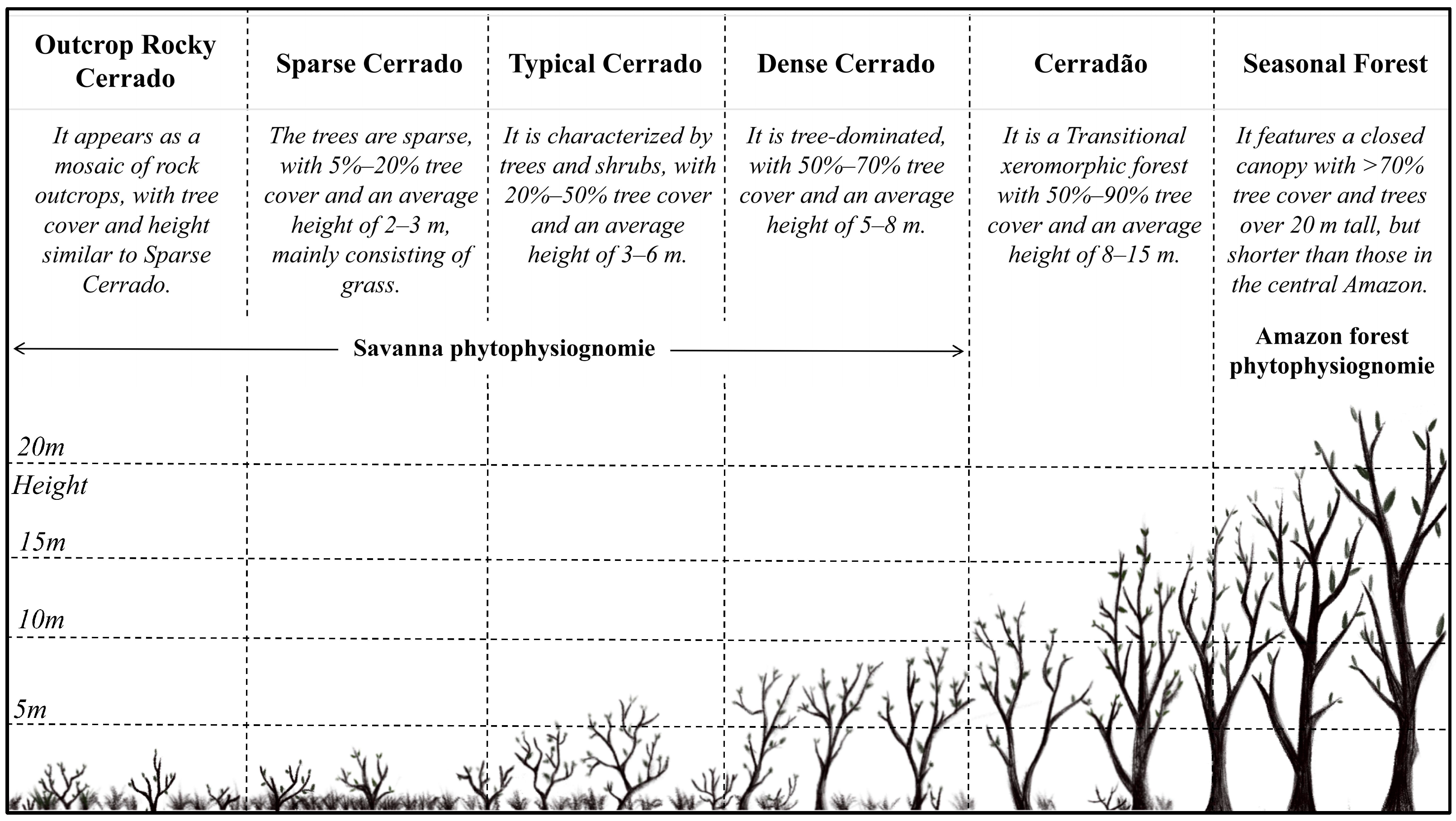 Remotesensing 17 02138 g002 Remotesensing 17 02138 g002