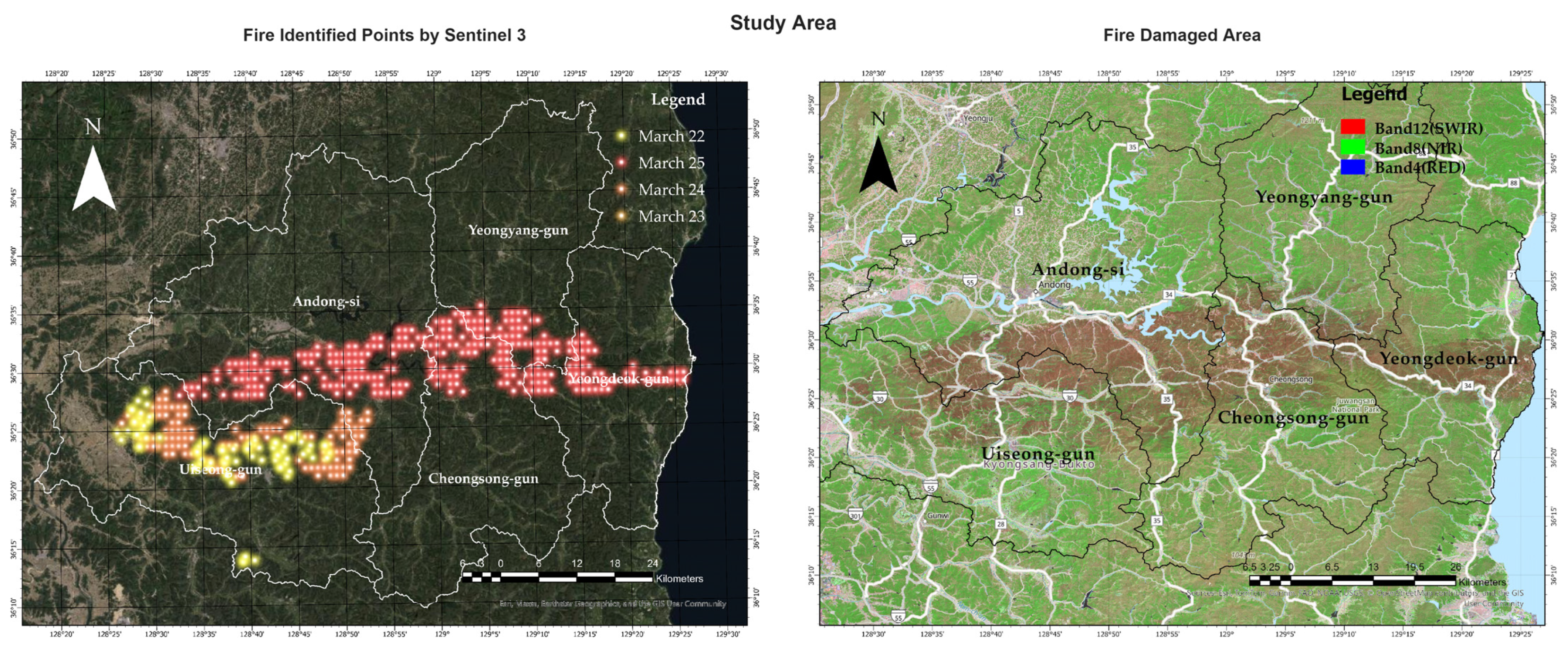 Remotesensing 17 02196 g001