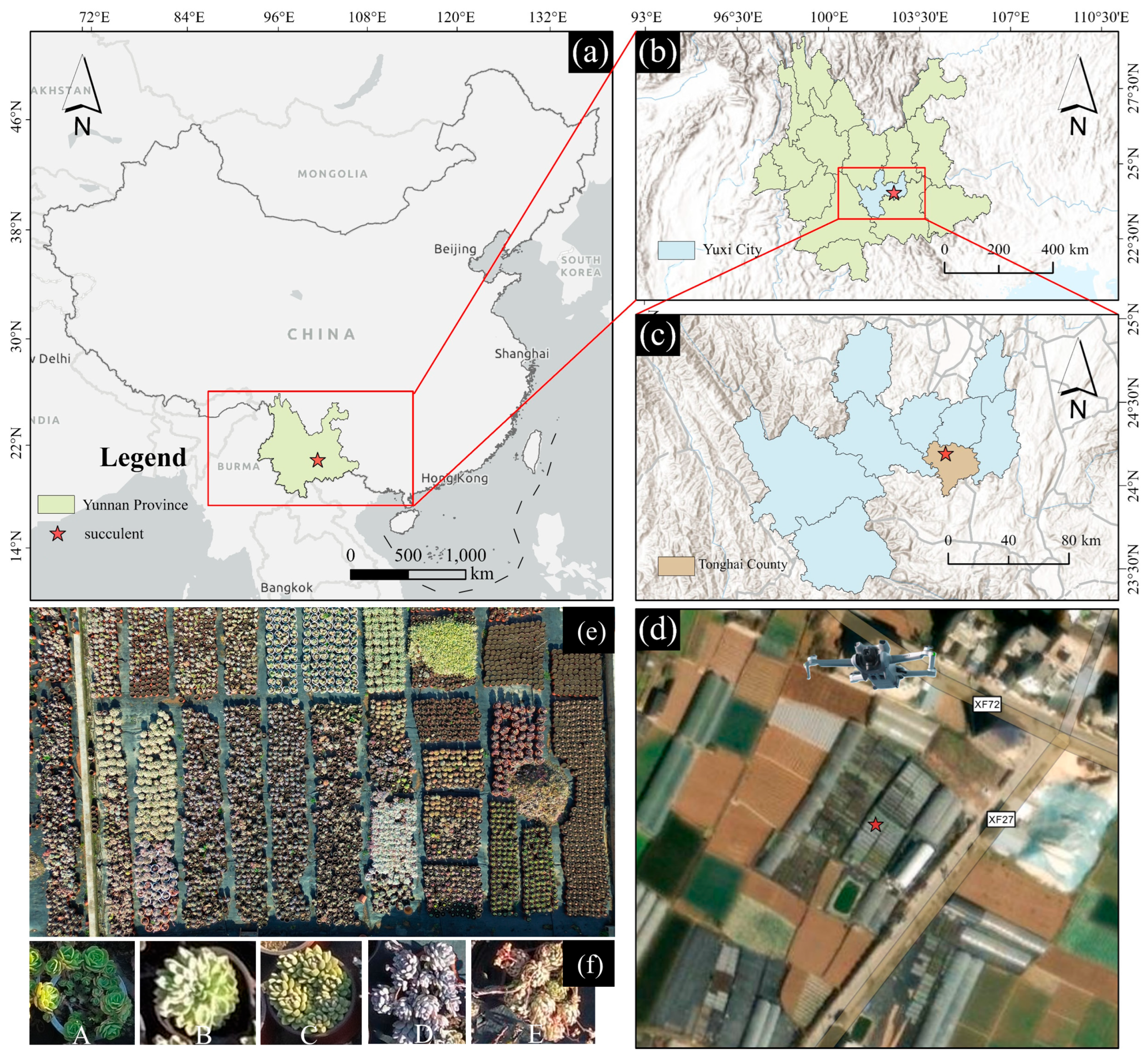 Remotesensing 17 02219 g002