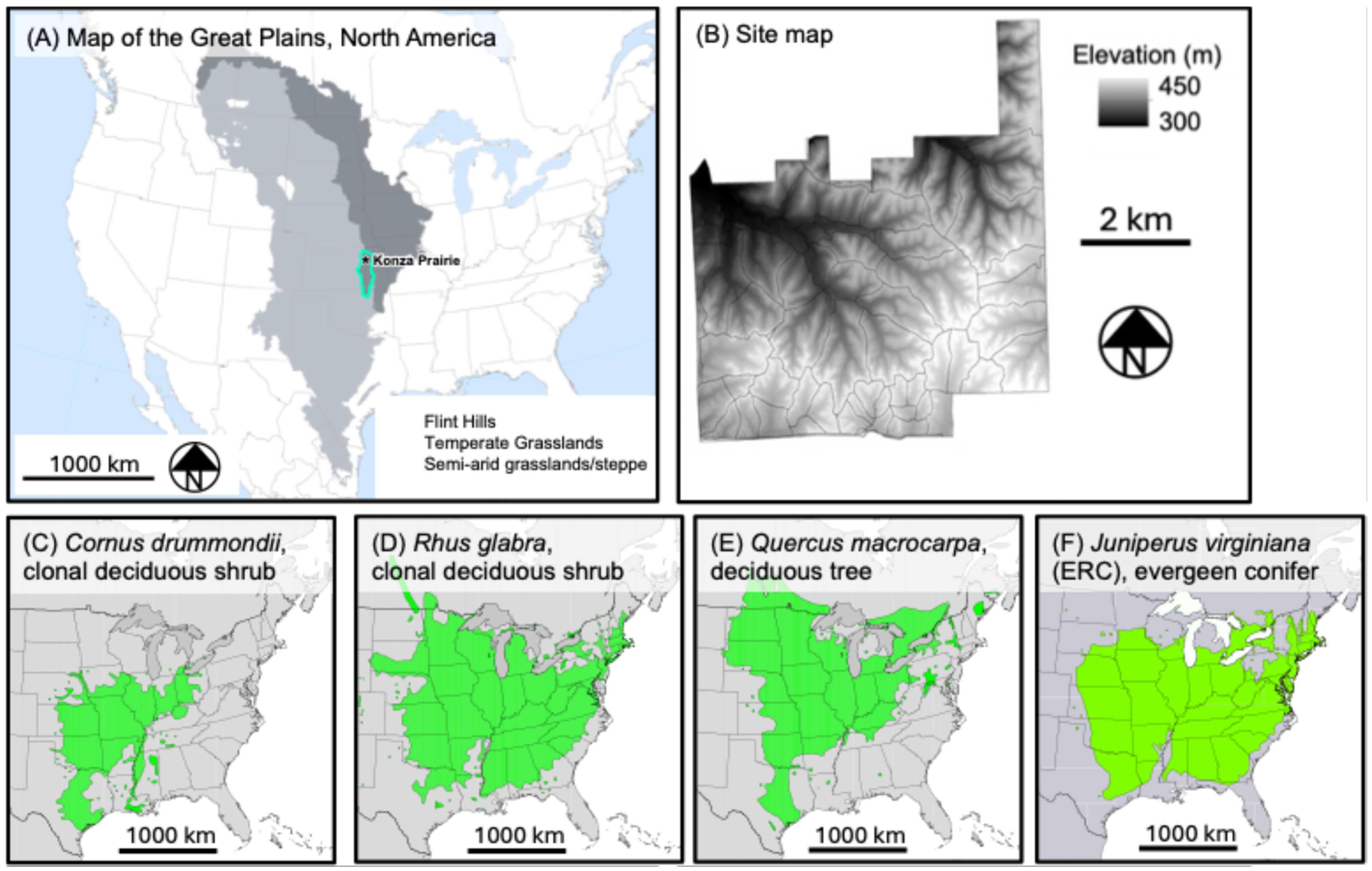 Remotesensing 17 02224 g001