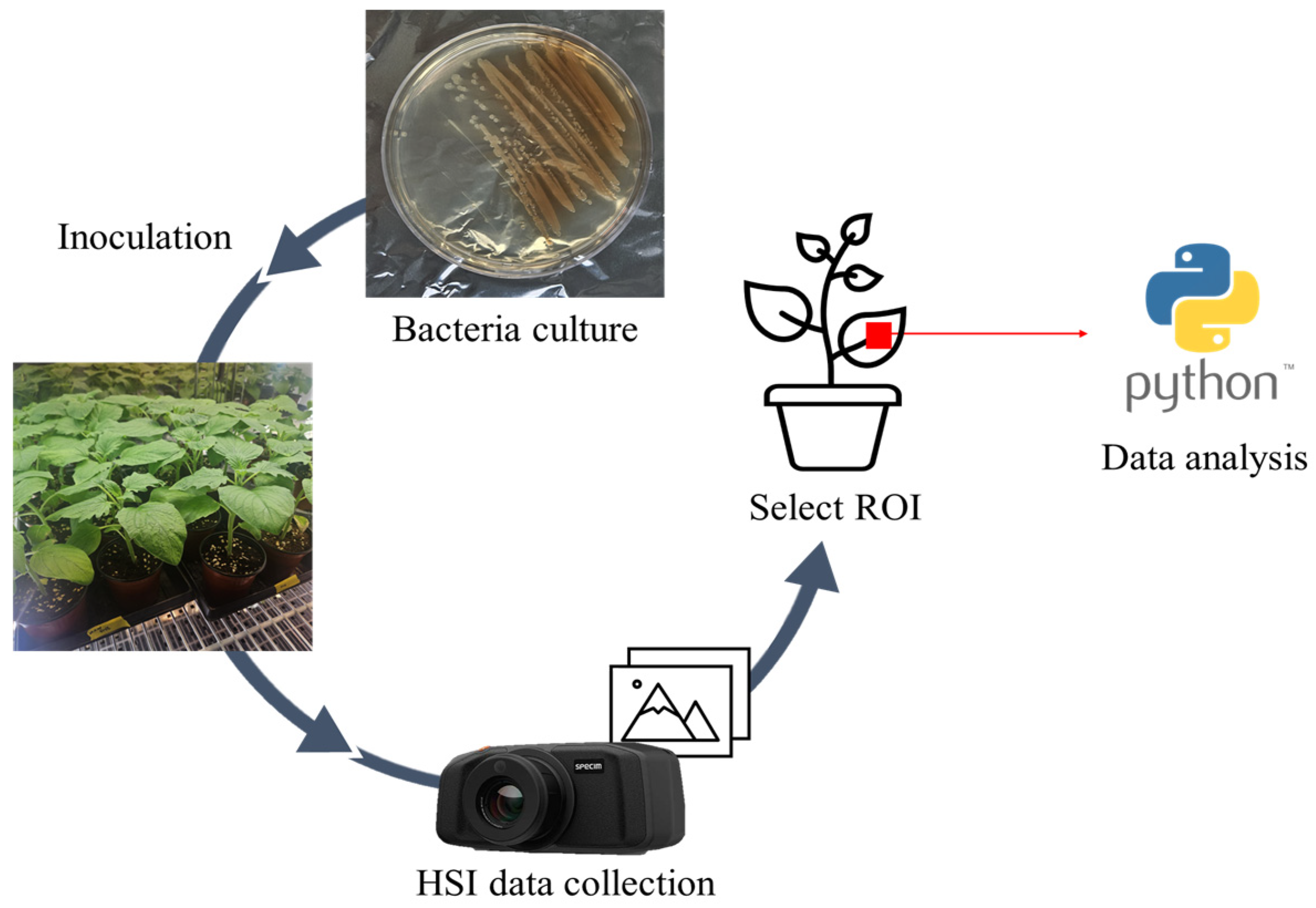 Remotesensing 17 02230 g001