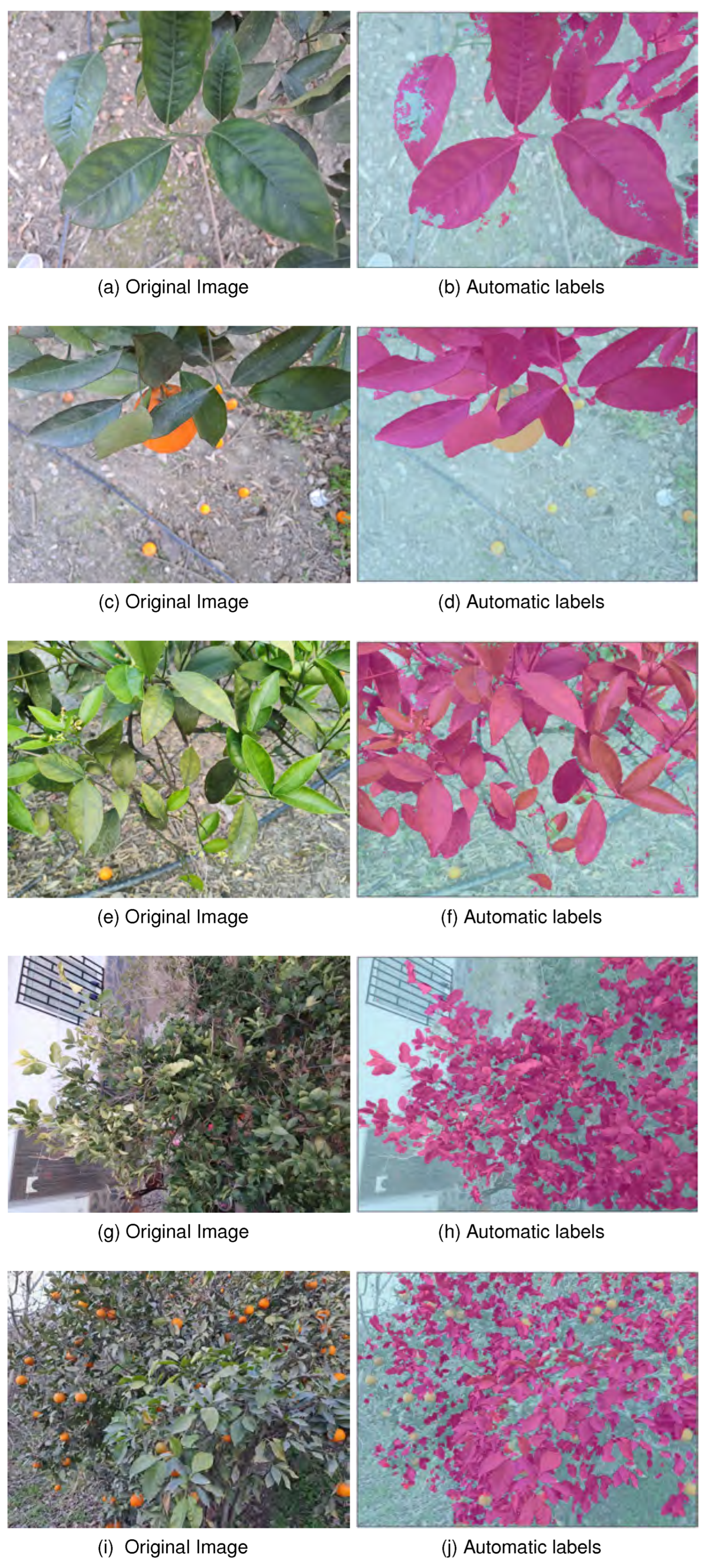 Remotesensing 17 02253 g006