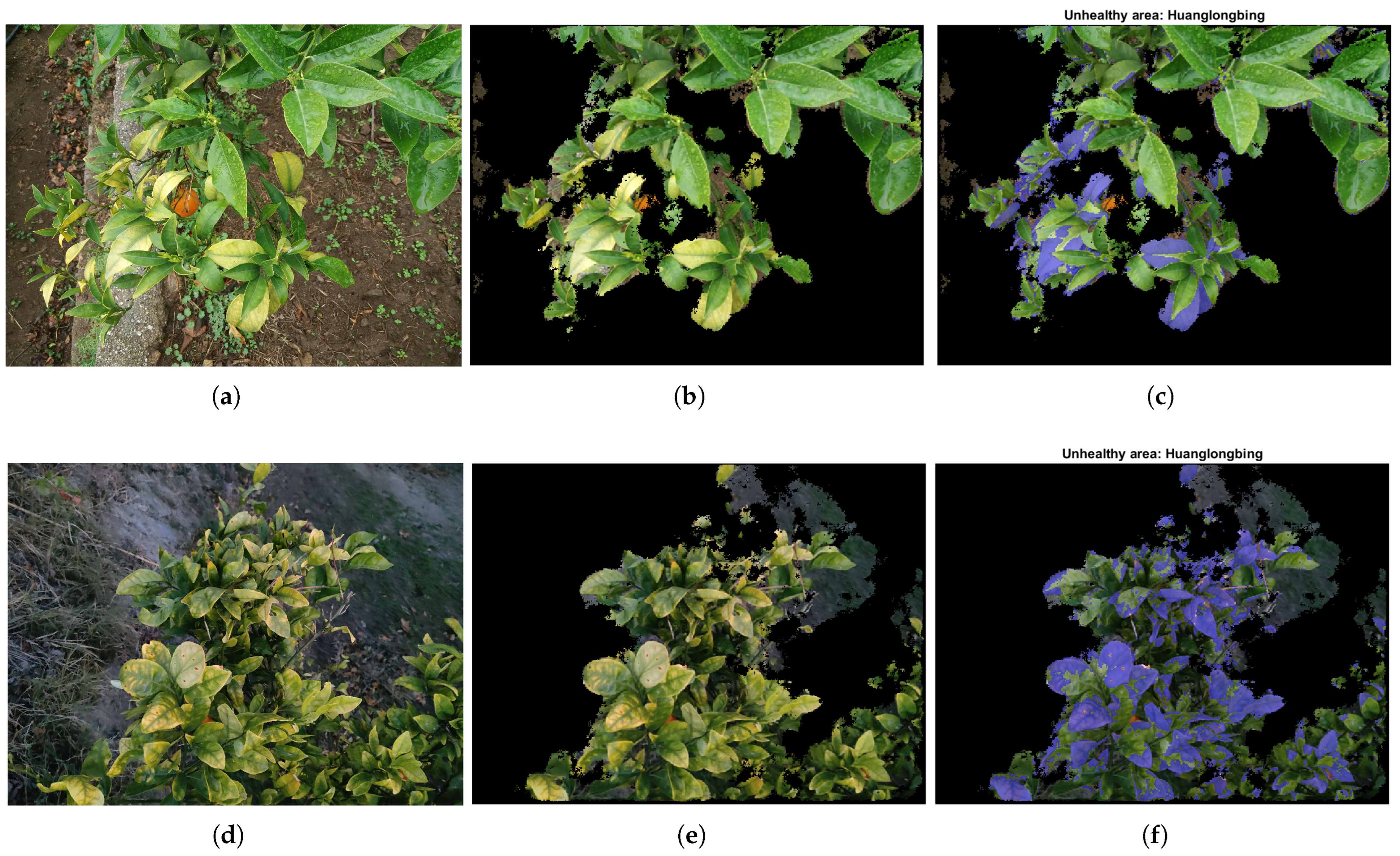 Remotesensing 17 02253 g009