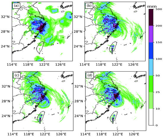 sea Bacterial Succession in Salt Marsh Soils Along a Short-term