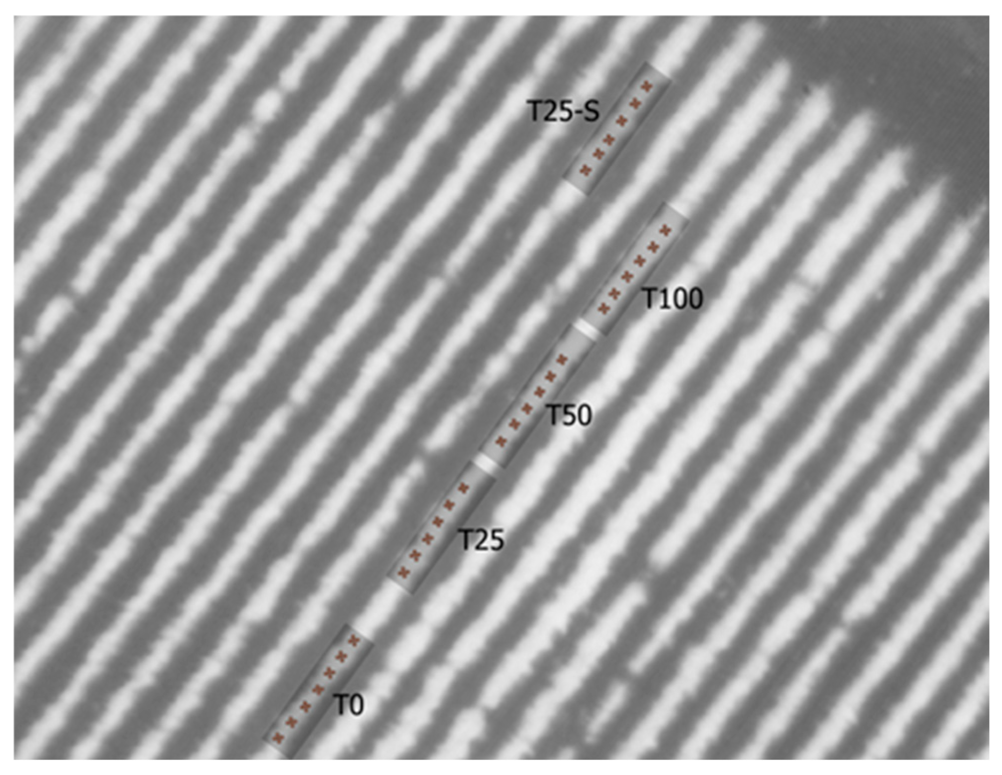 Remotesensing 17 02273 g001