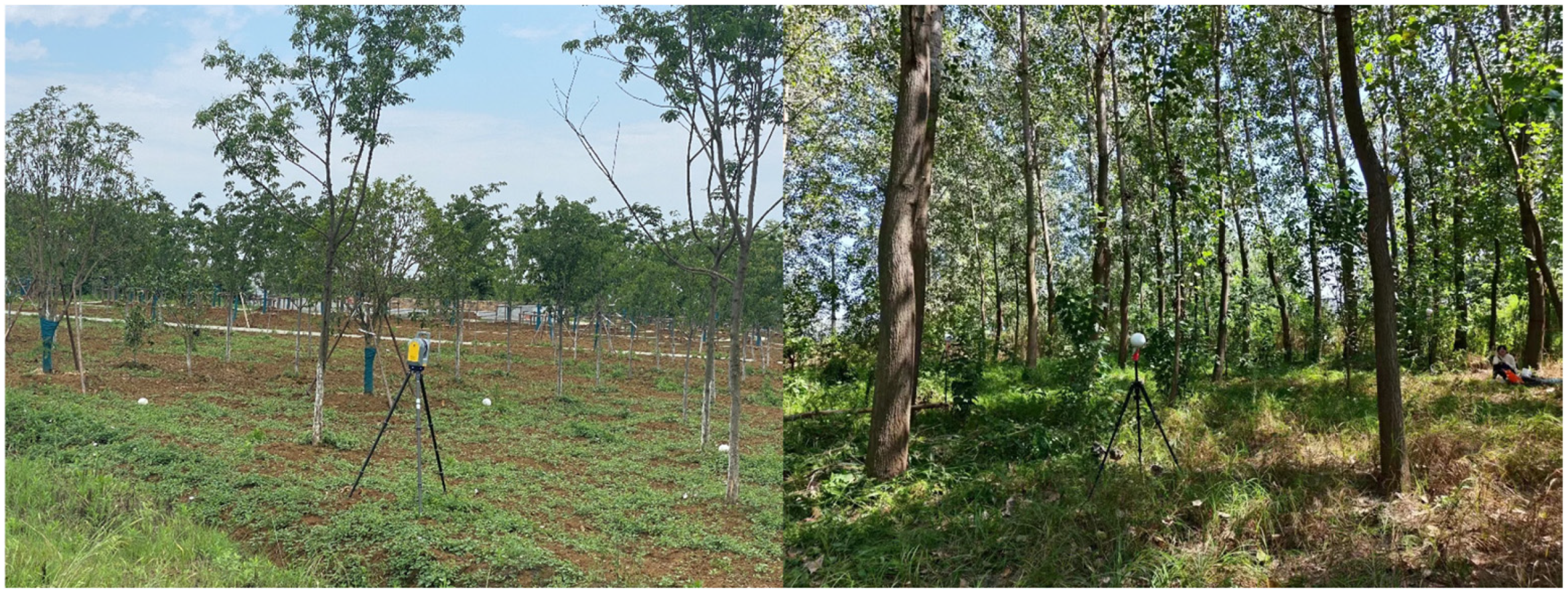 Remotesensing 17 02292 g002