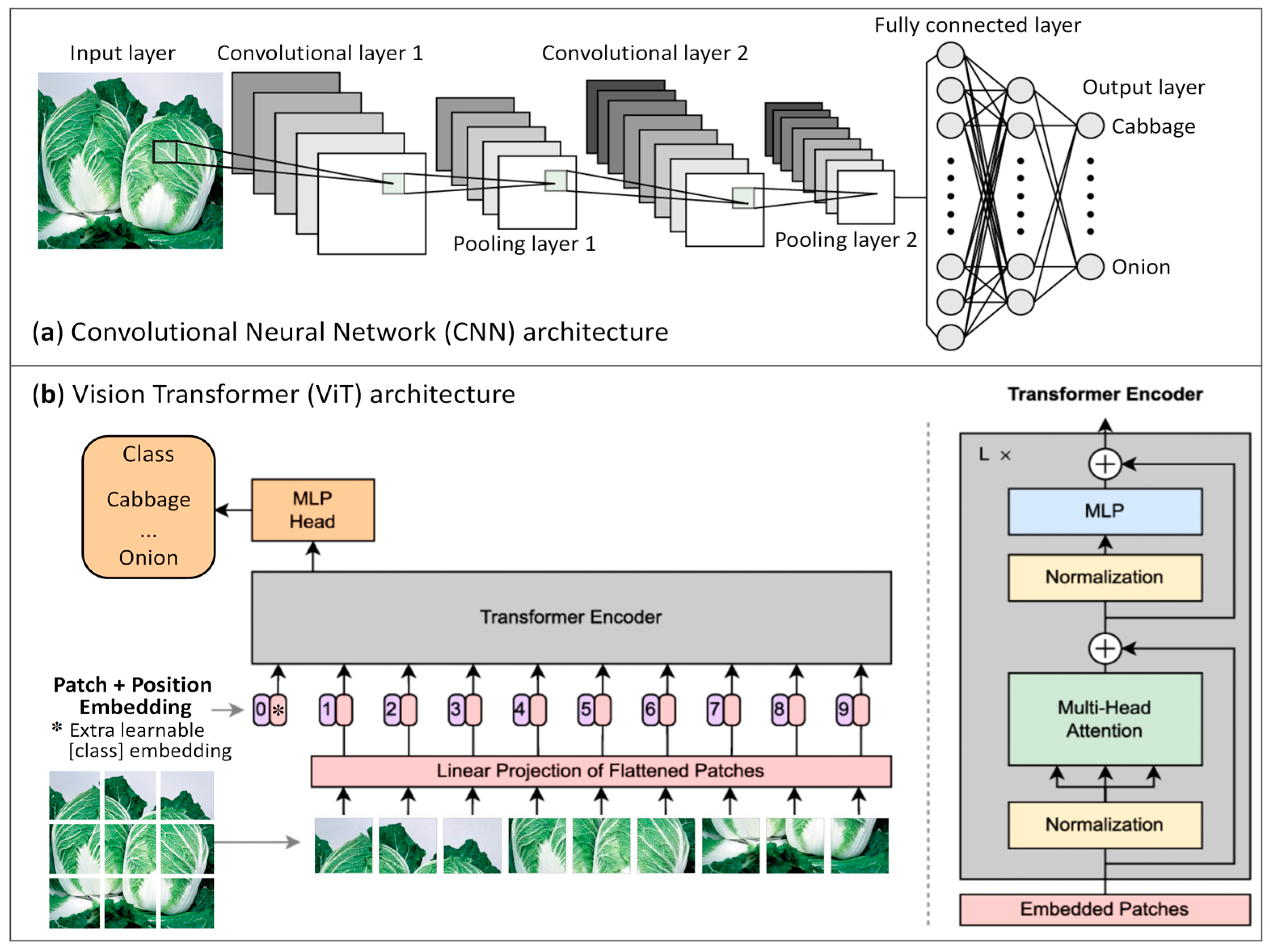 Remotesensing 17 02388 g001