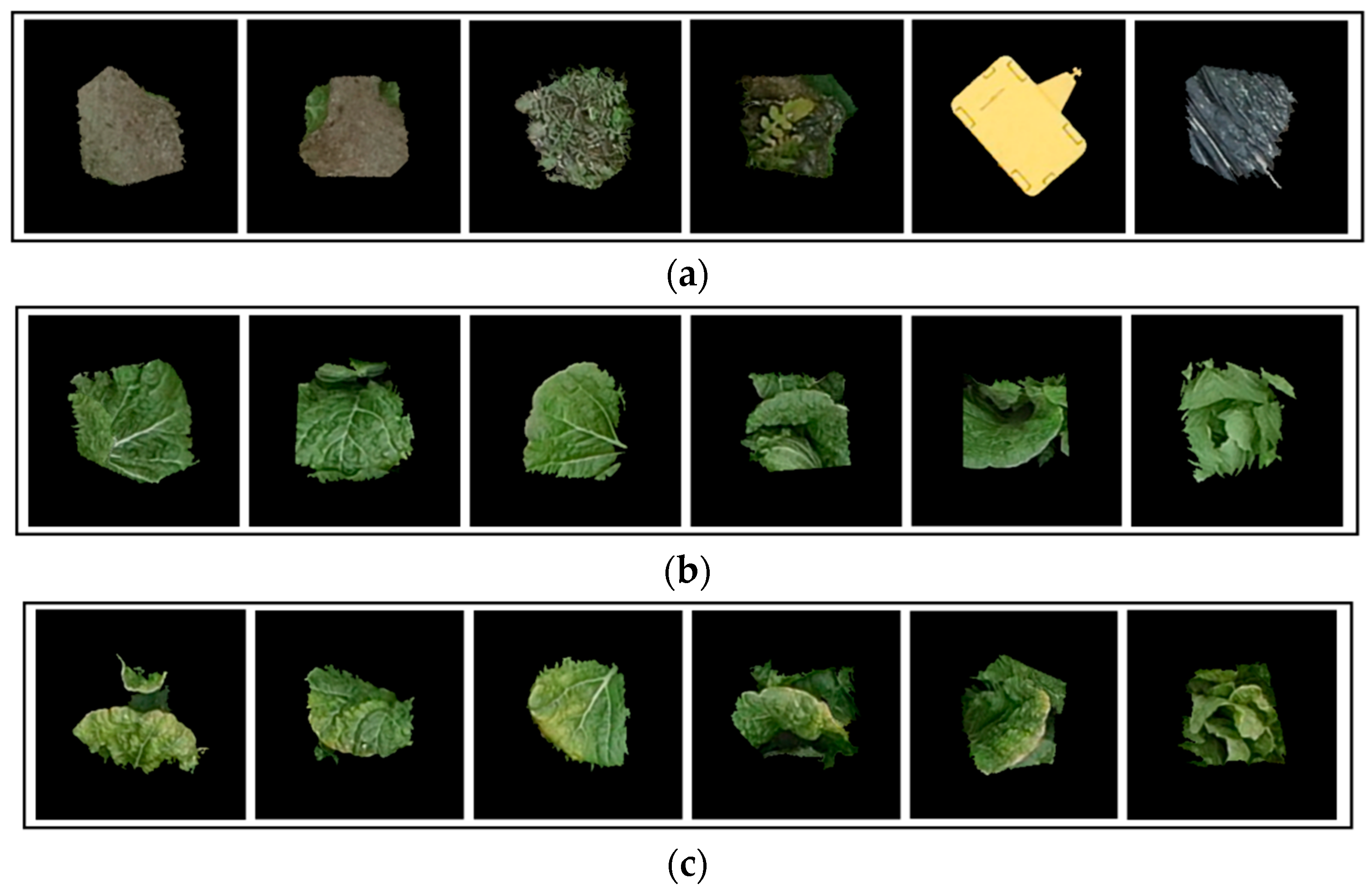 Remotesensing 17 02388 g006