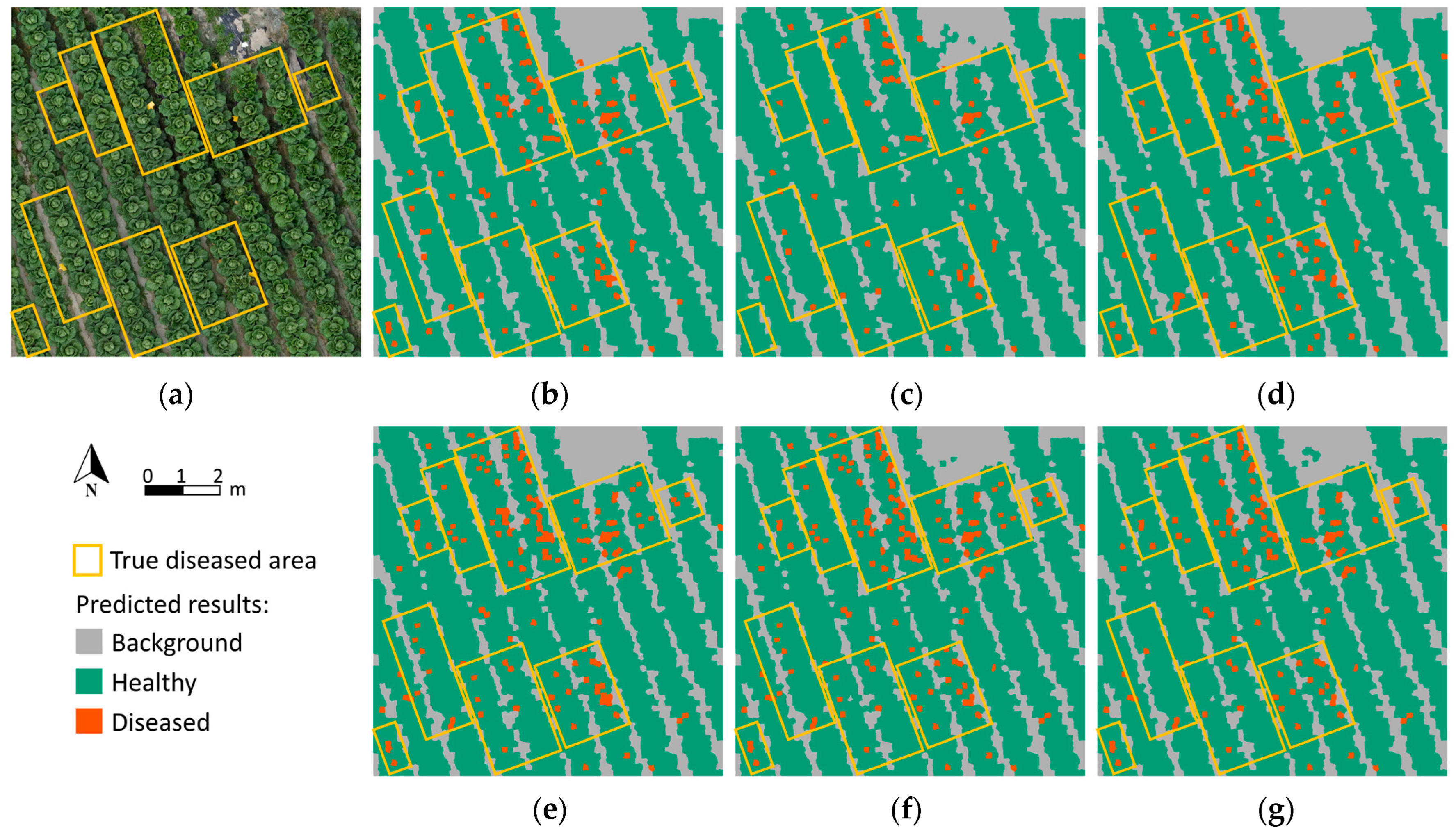 Remotesensing 17 02388 g011