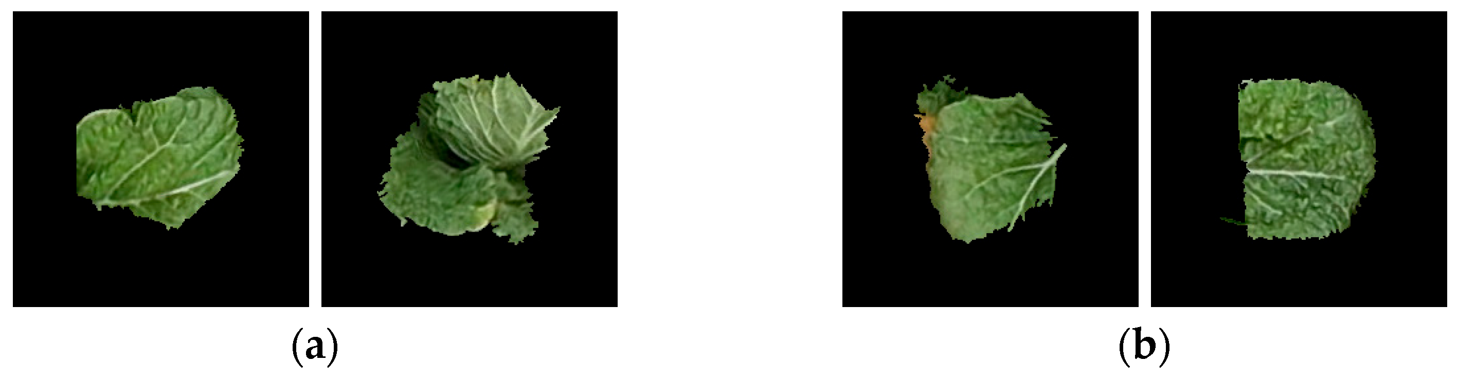 Remotesensing 17 02388 g012