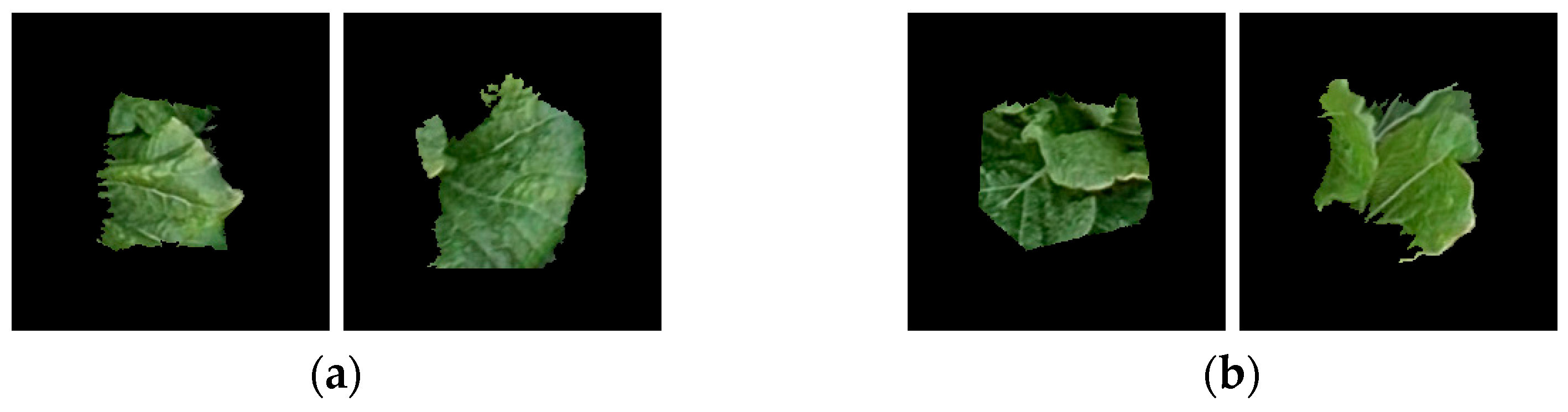 Remotesensing 17 02388 g013