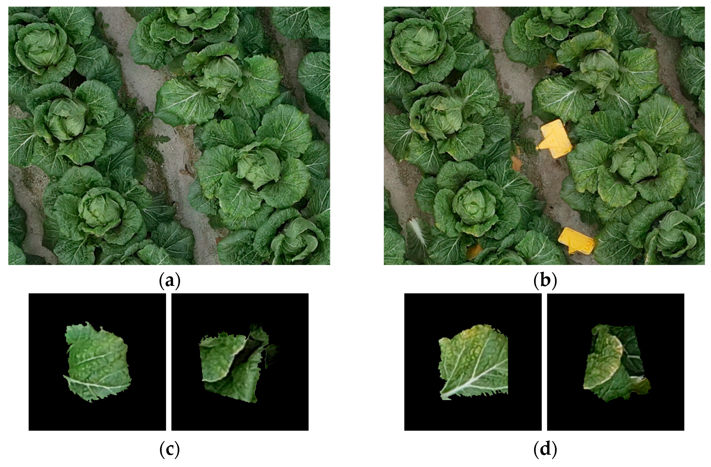 Remotesensing 17 02388 g014