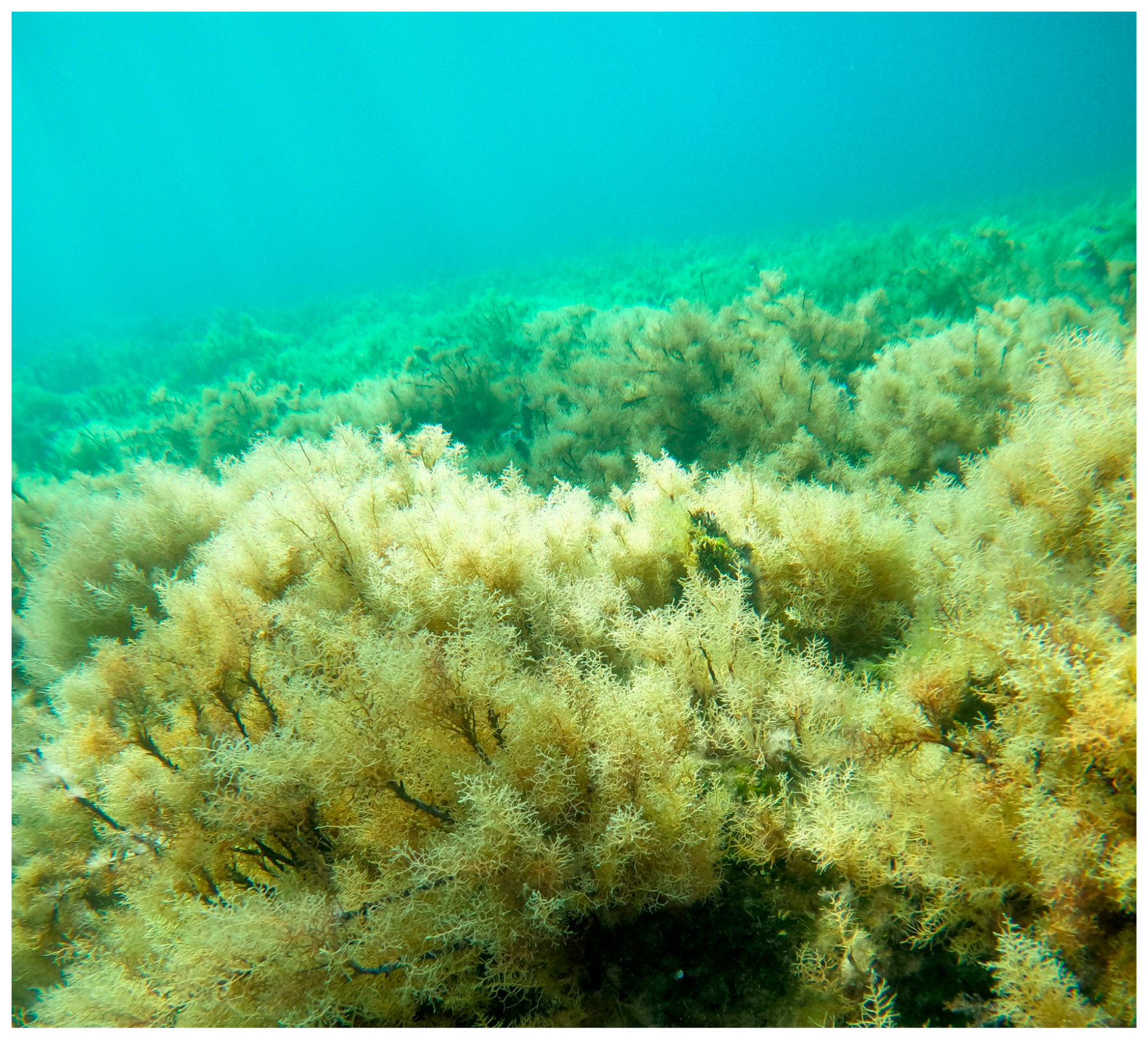 Remotesensing 17 02398 g002