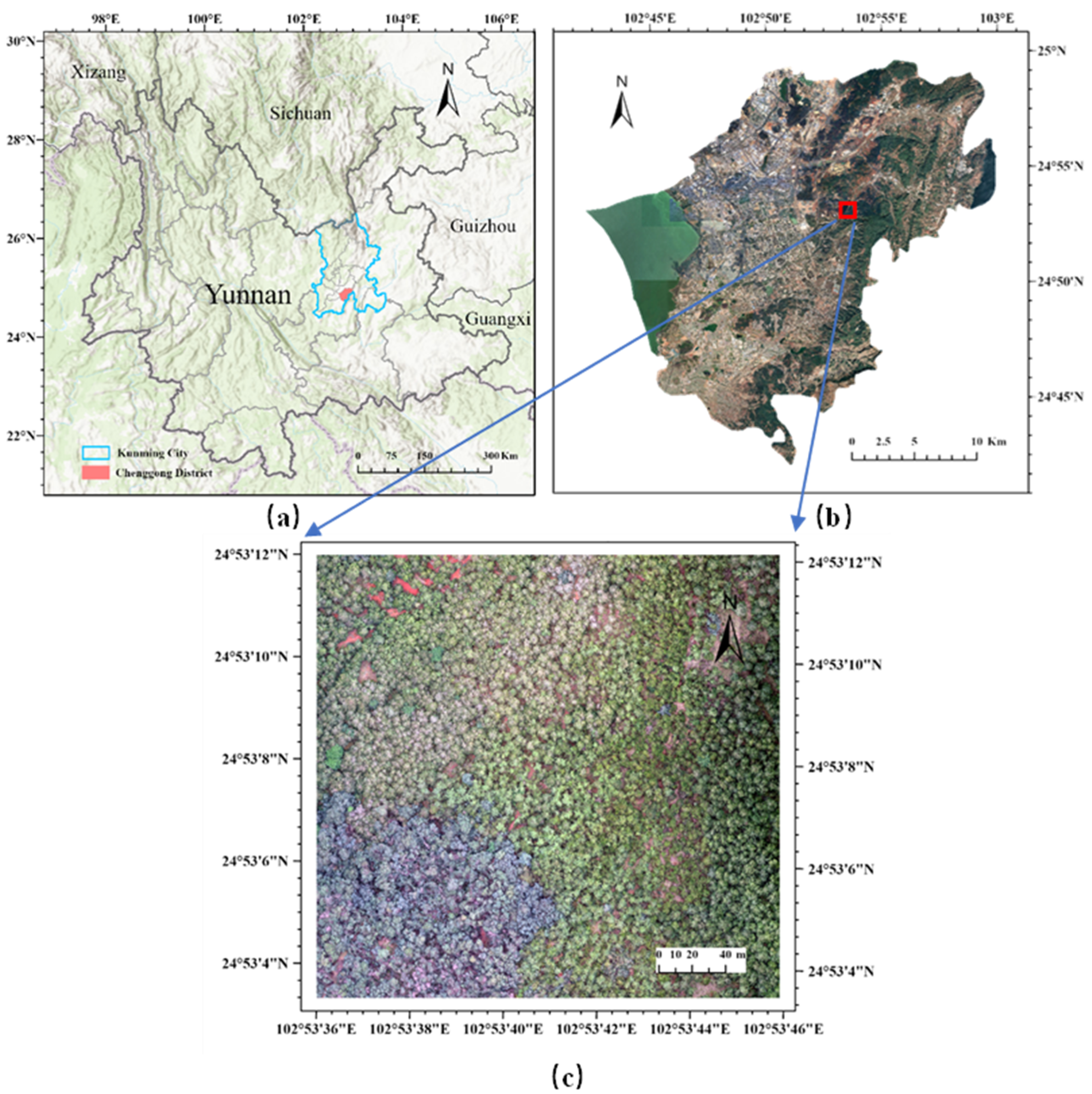 Remotesensing 17 02427 g001