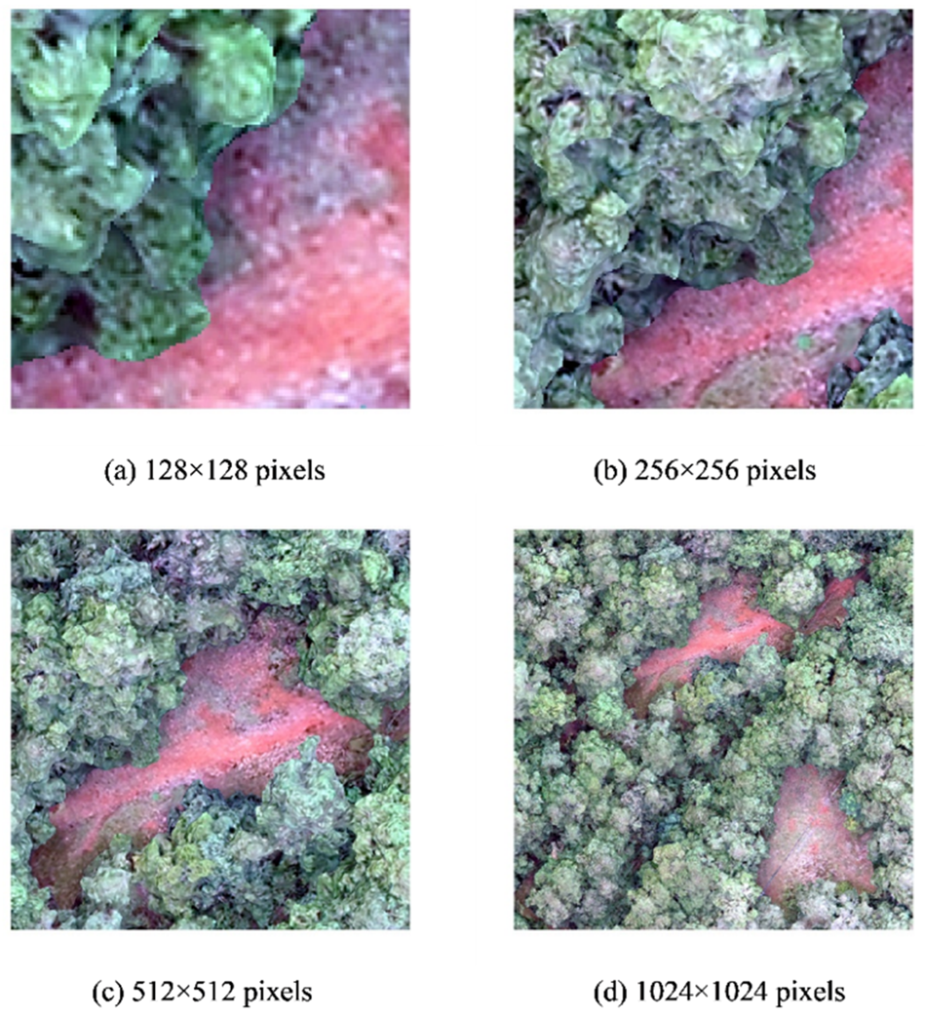 Remotesensing 17 02427 g003