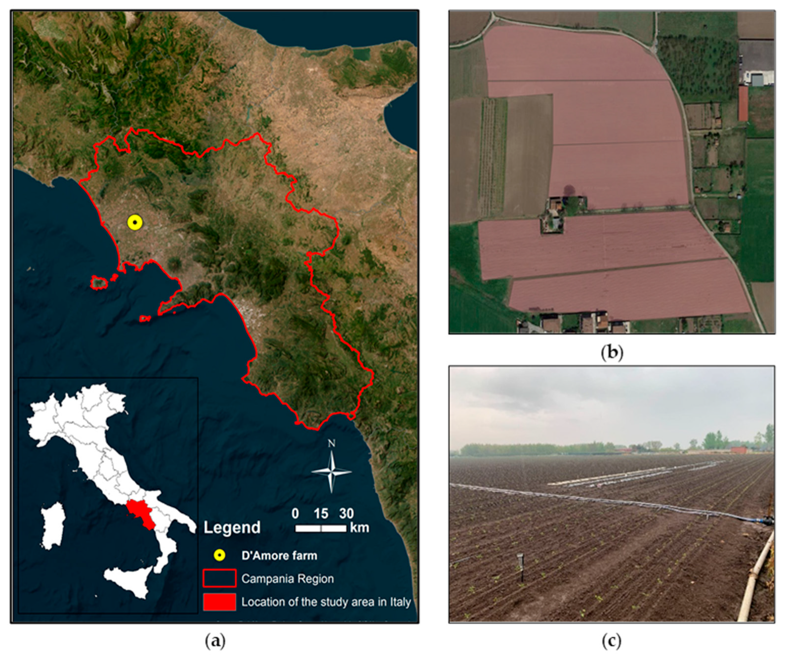 Remotesensing 17 02464 g001