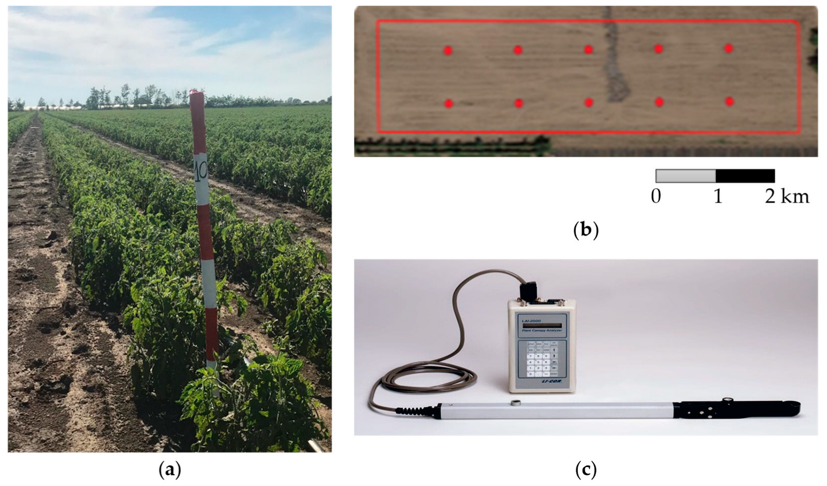 Remotesensing 17 02464 g002