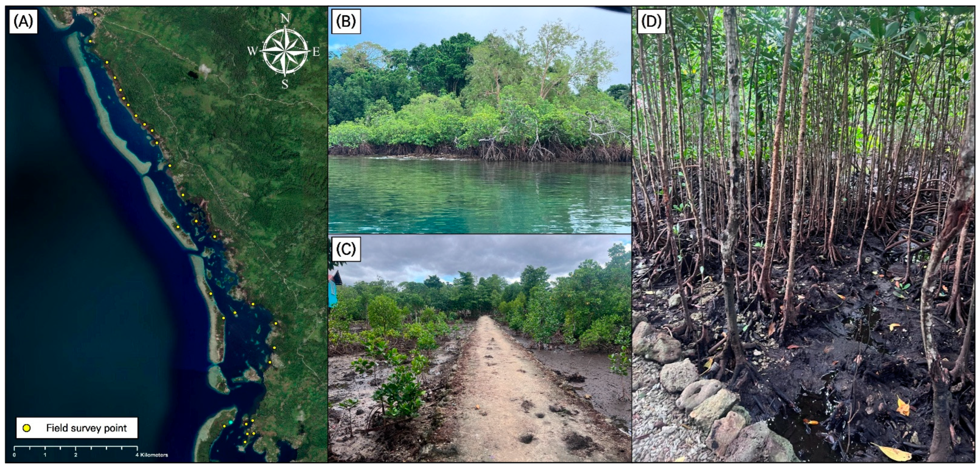 Remotesensing 17 02512 g002