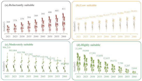 Impact of Plateau Grassland Degradation on Ecological