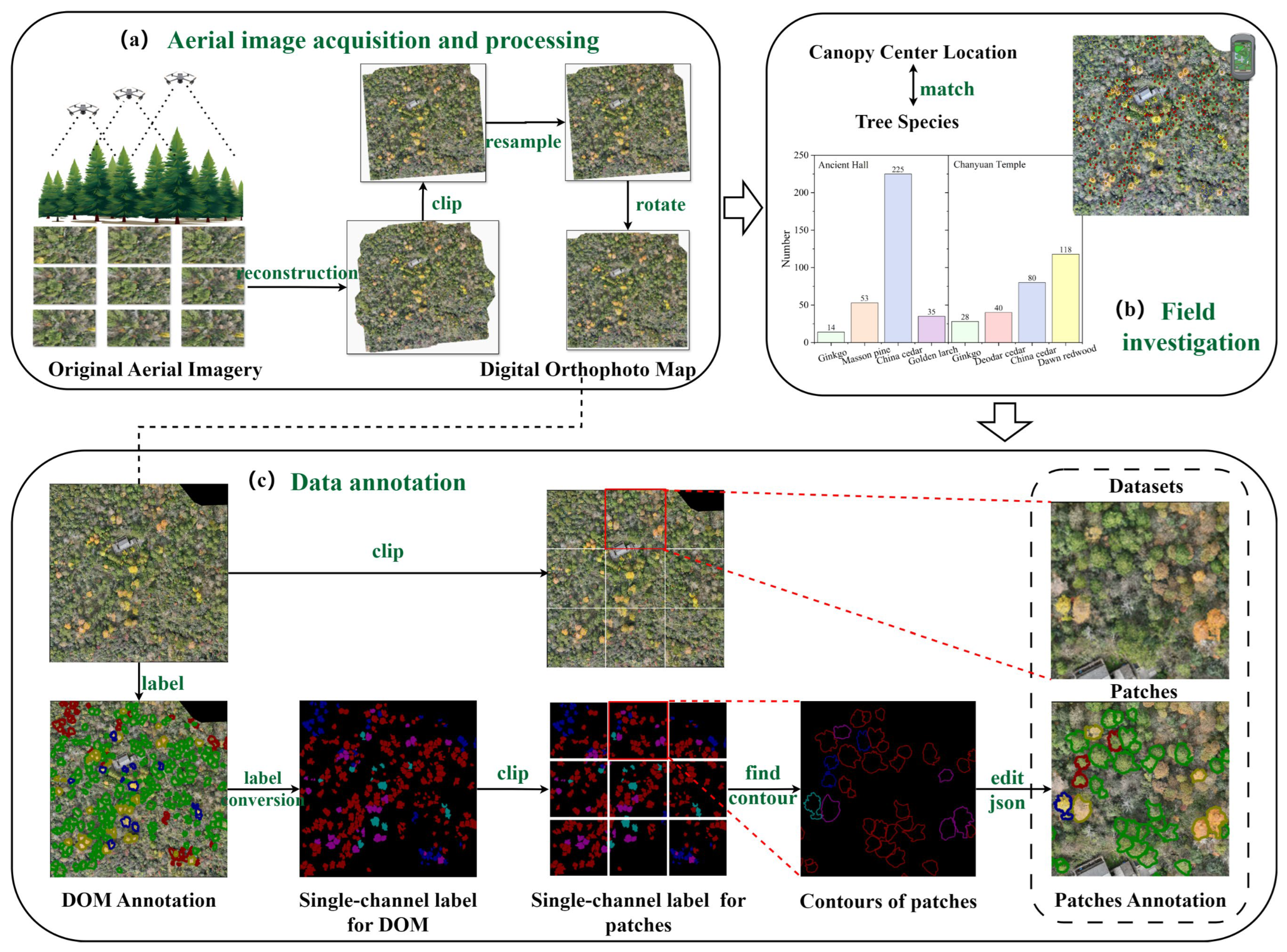 Remotesensing 17 02541 g002