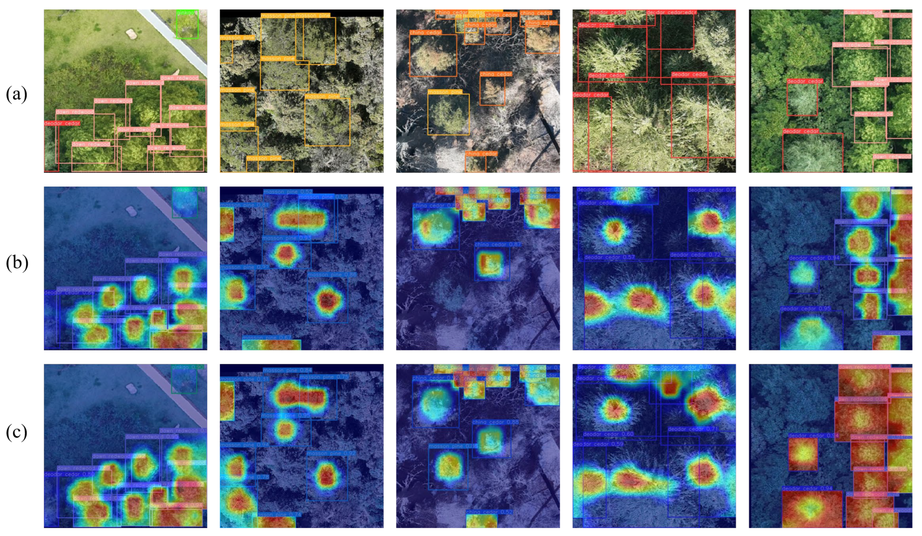 Remotesensing 17 02541 g006