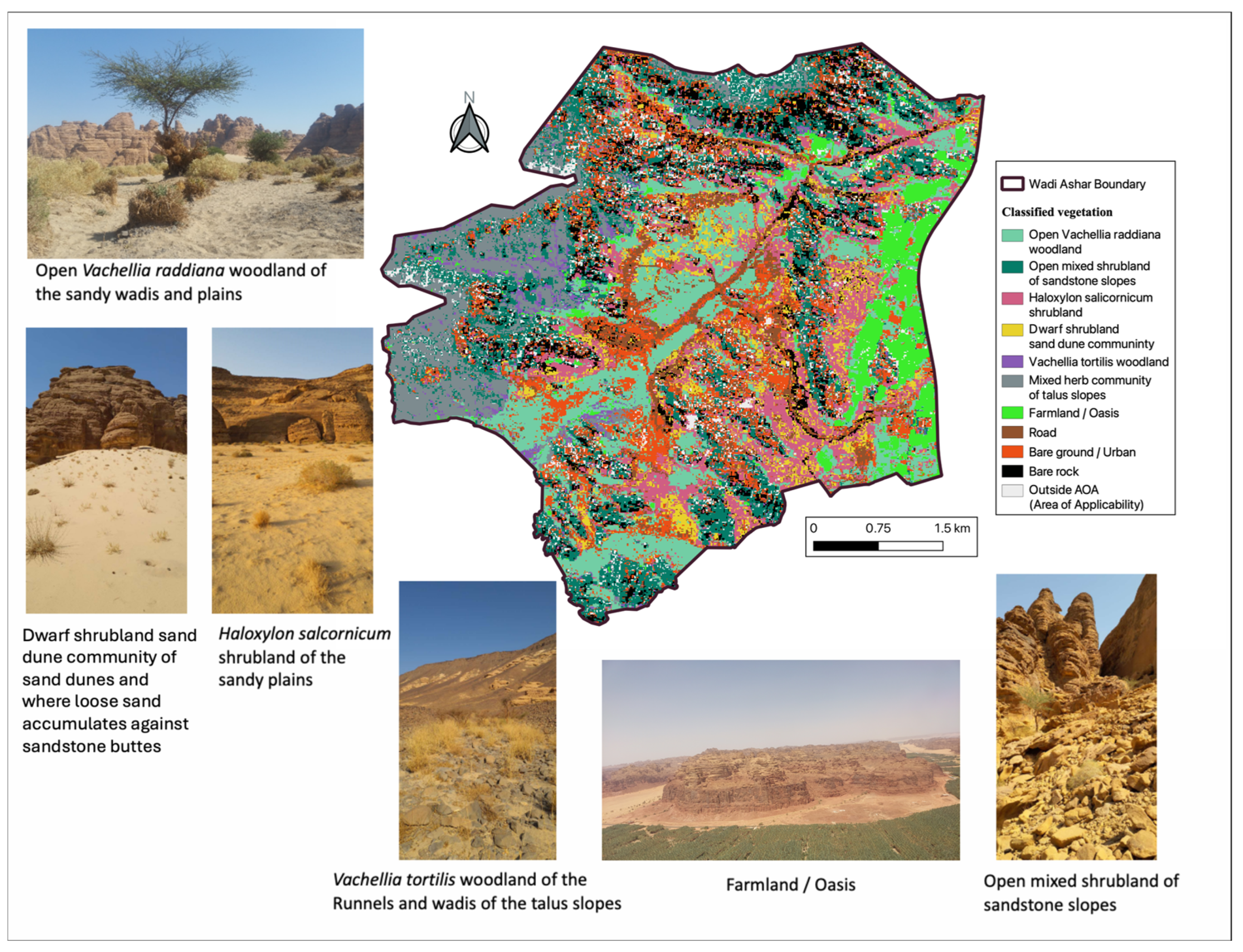 Remotesensing 17 02553 g009