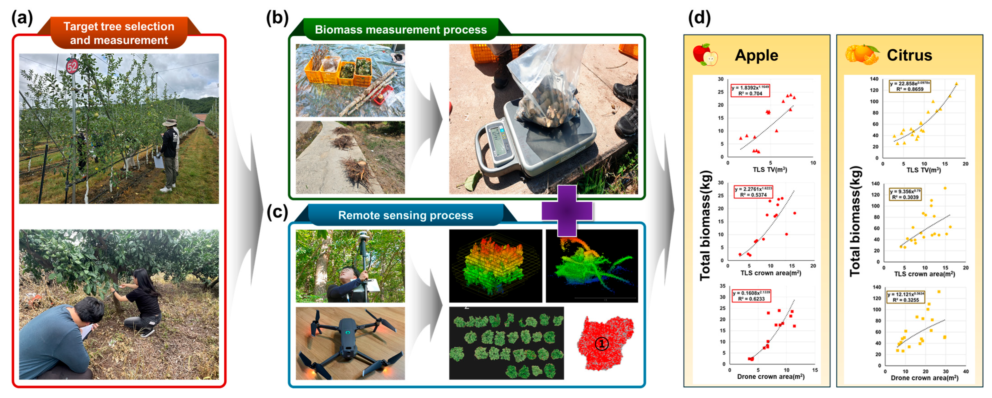 Remotesensing 17 02554 g001